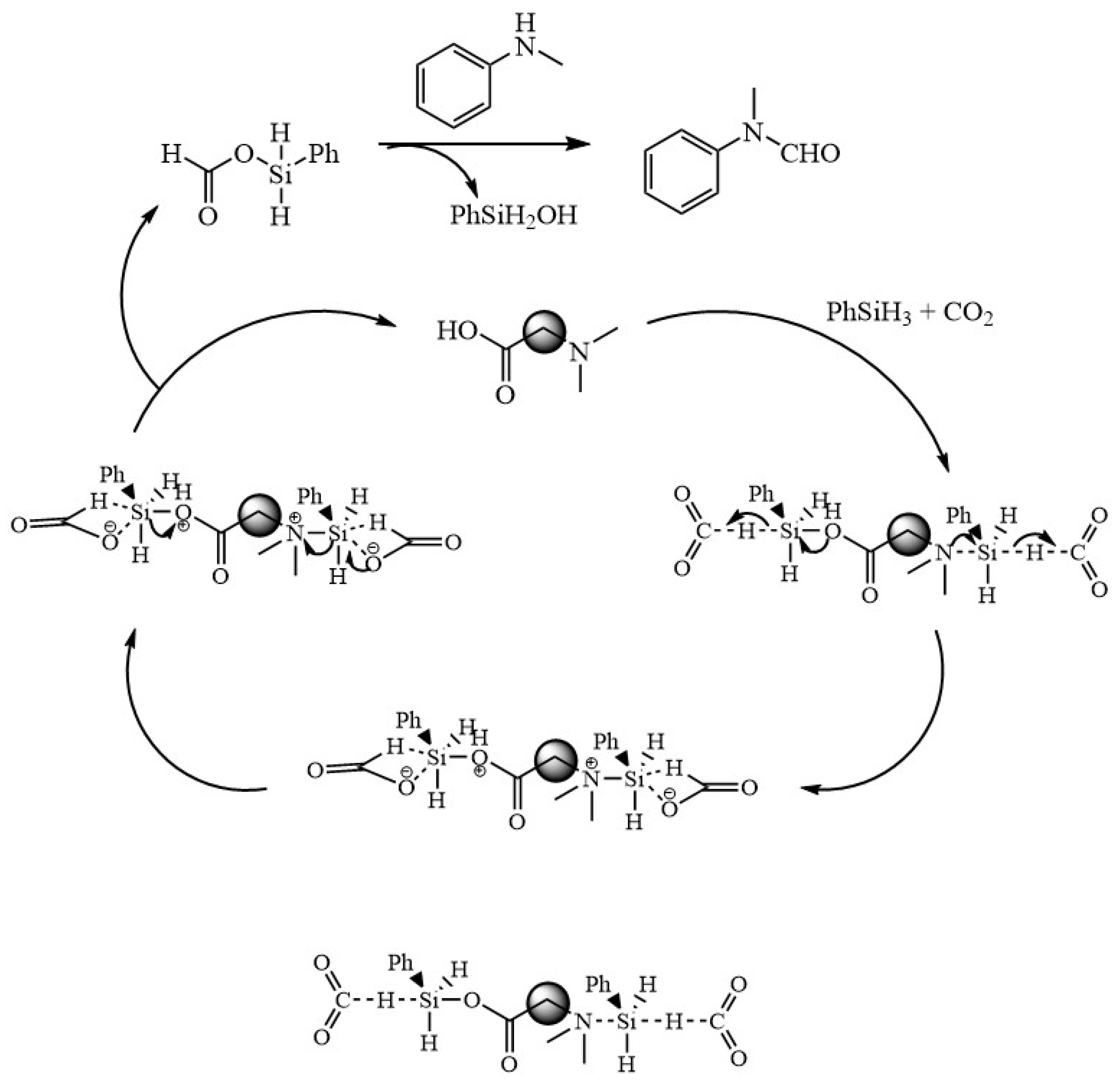 Catalysts 14 00492 g007