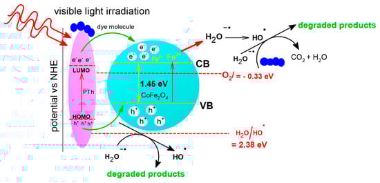 Catalysts 14 00495 sch001