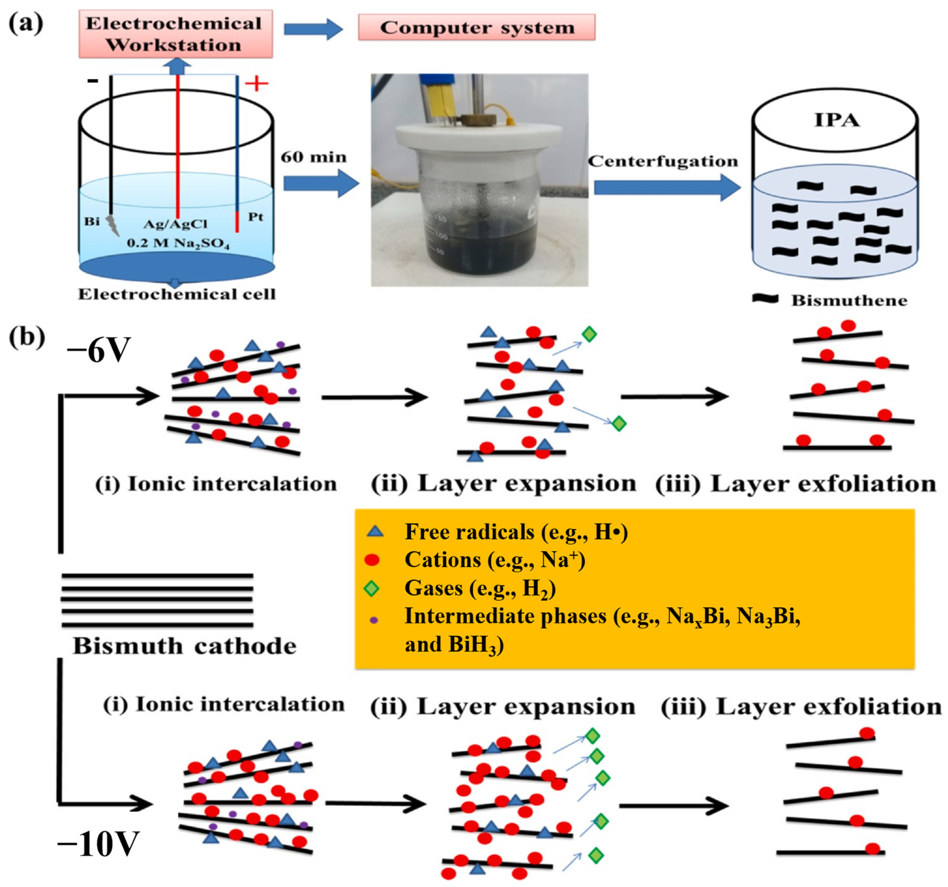 Catalysts 14 00500 g004
