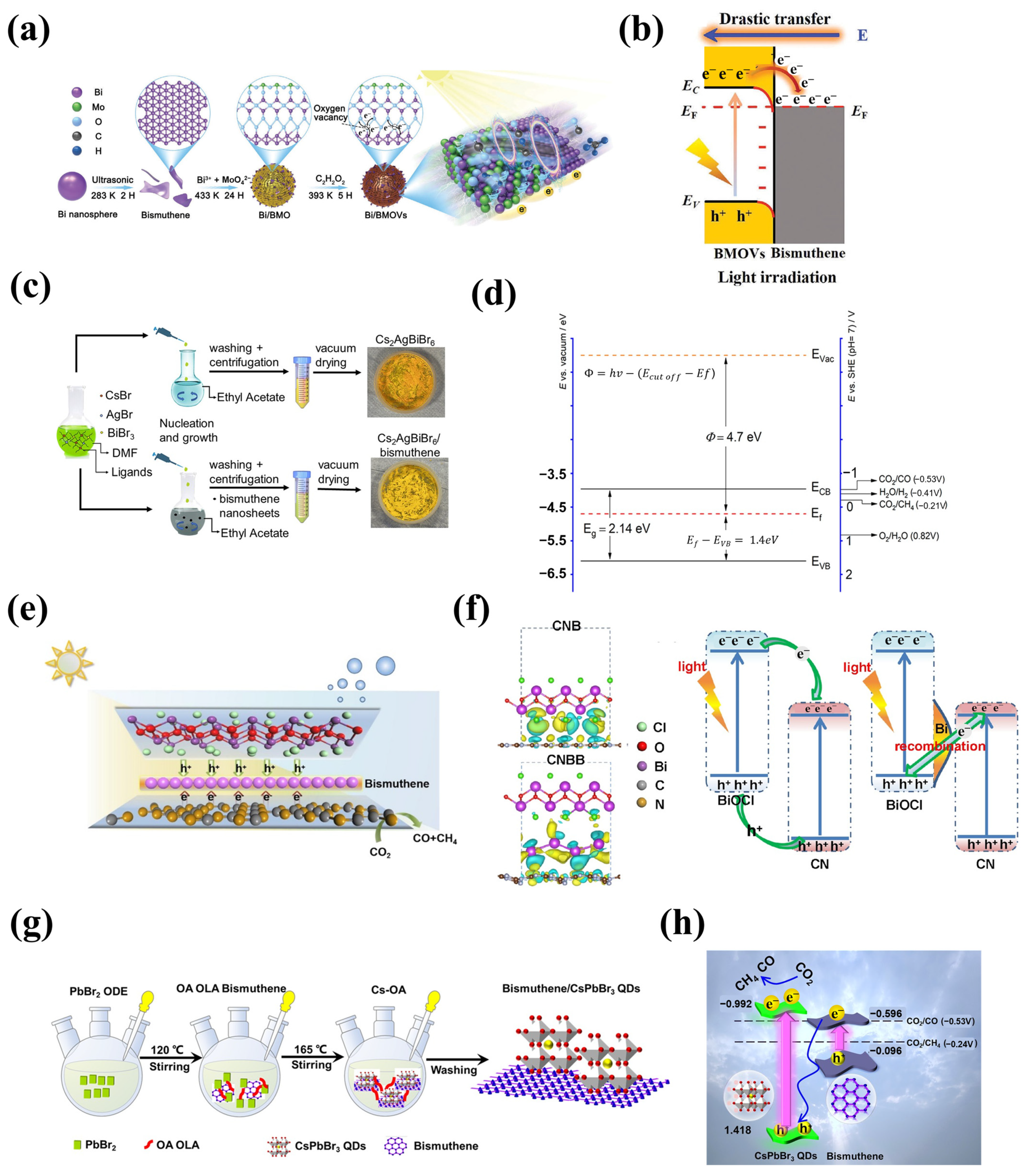 Catalysts 14 00500 g006