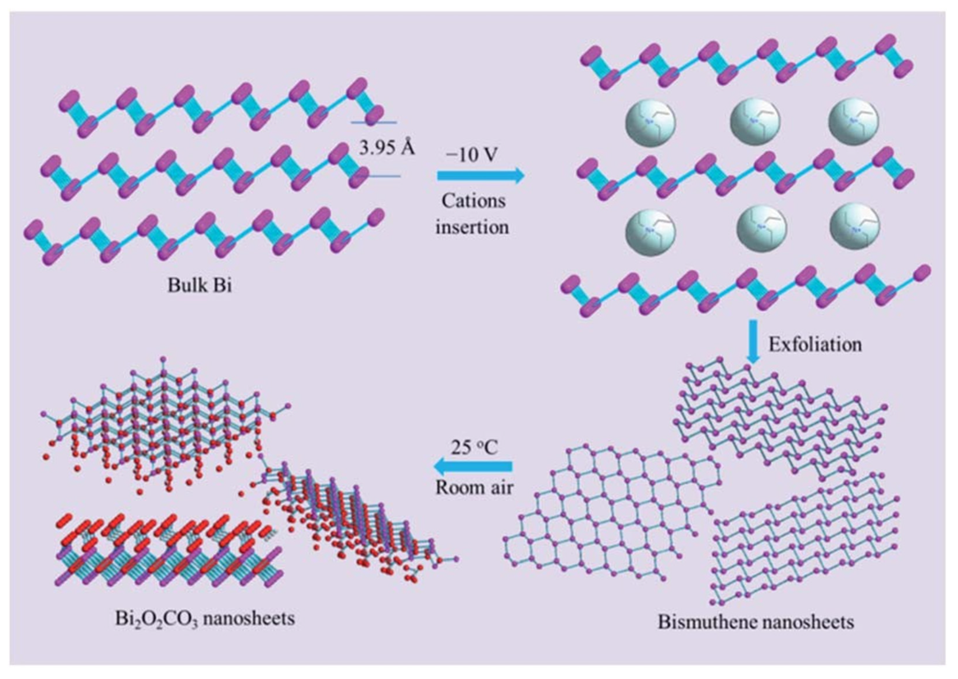 Catalysts 14 00500 g007