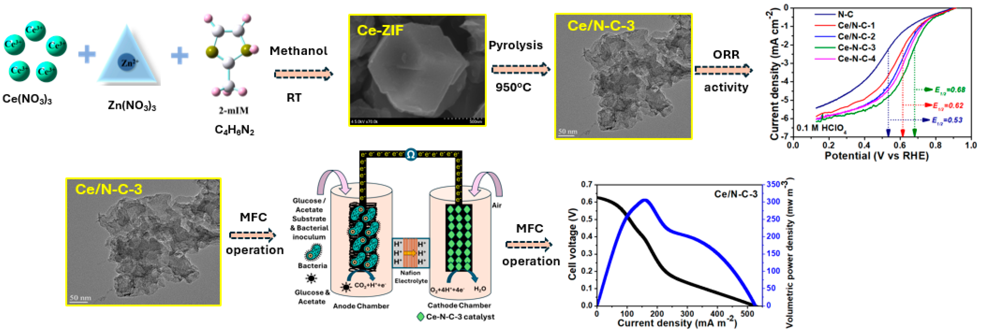 Catalysts 14 00506 sch001