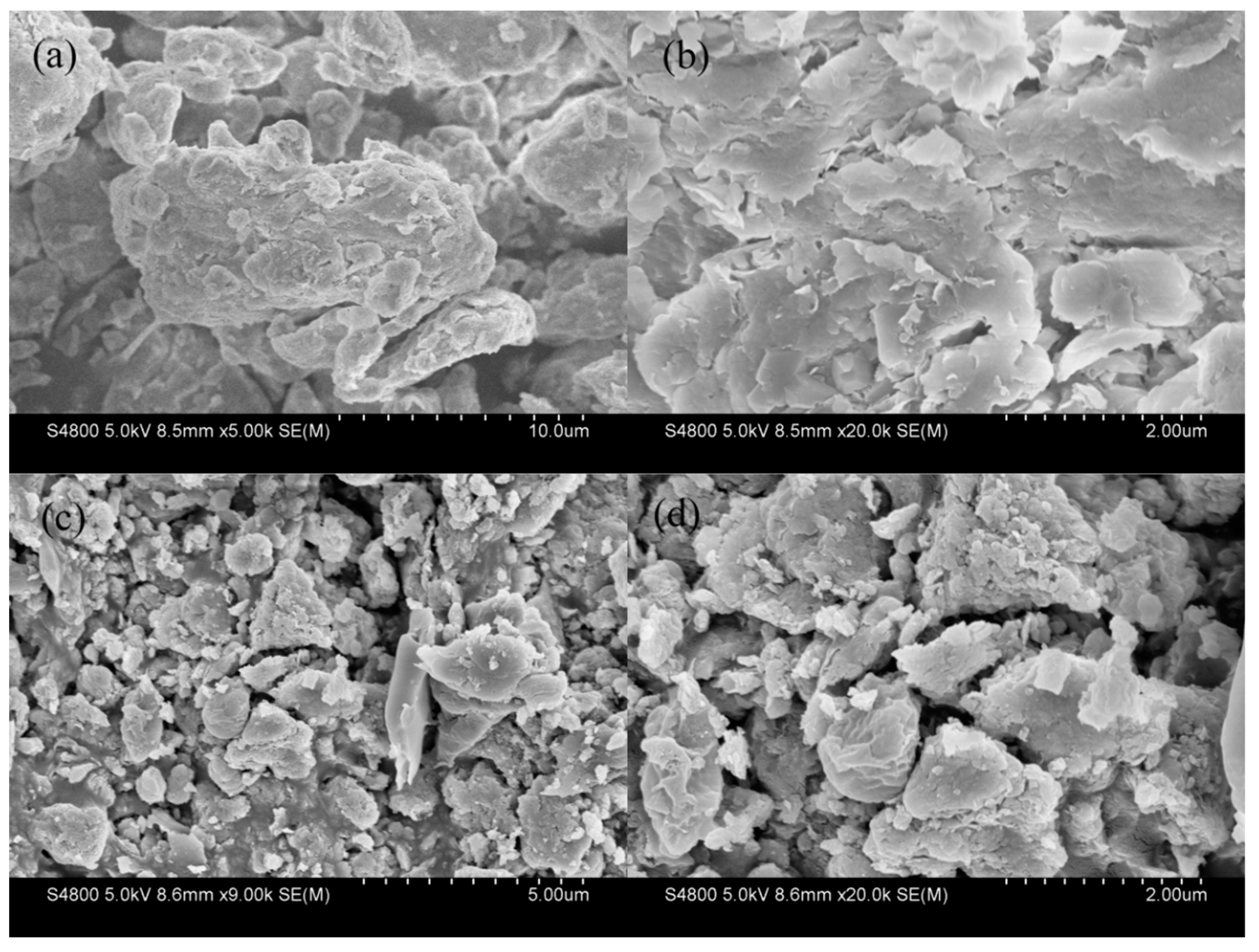 Catalysts 14 00521 g004