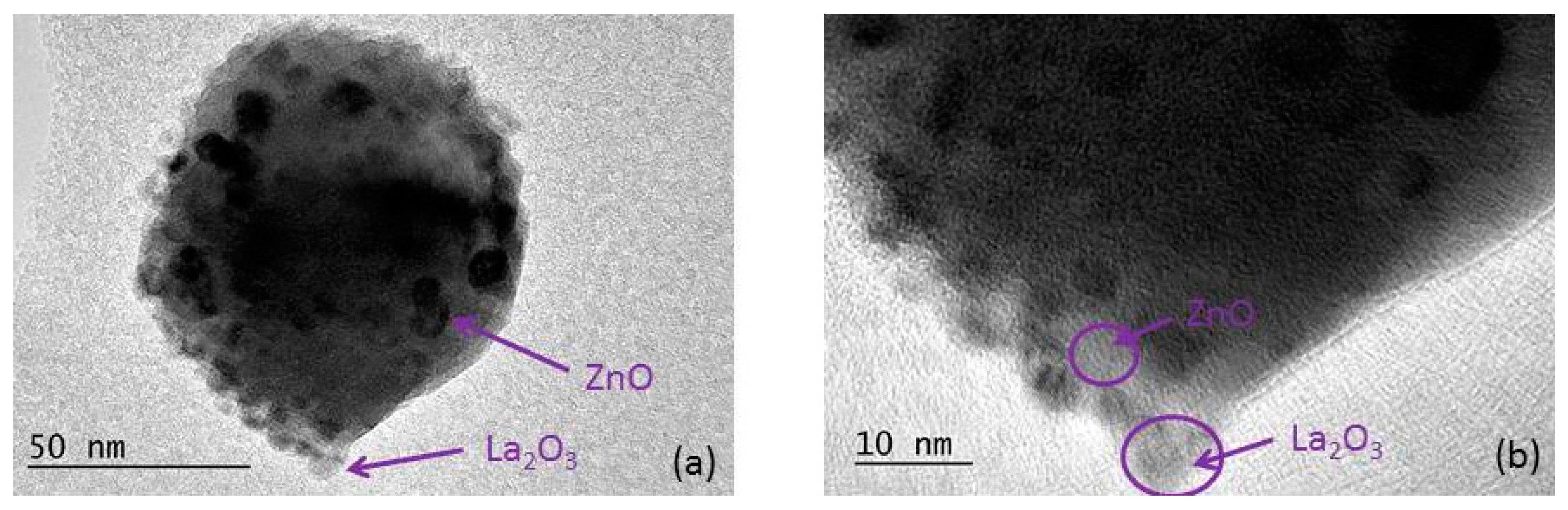 Catalysts 14 00527 g004 Catalysts 14 00527 g004