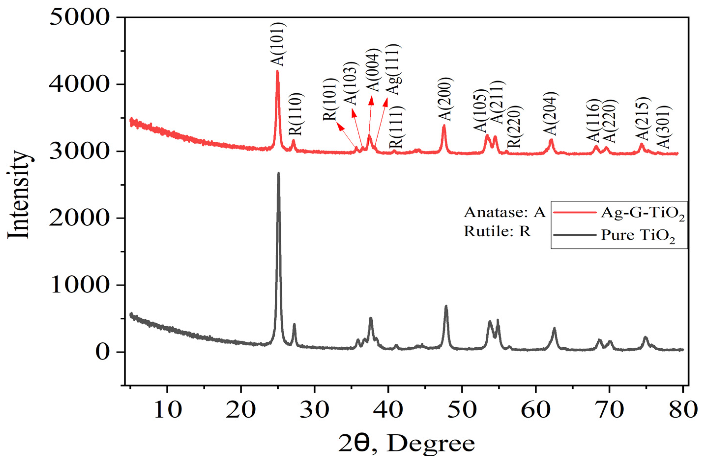 Catalysts 14 00530 g006