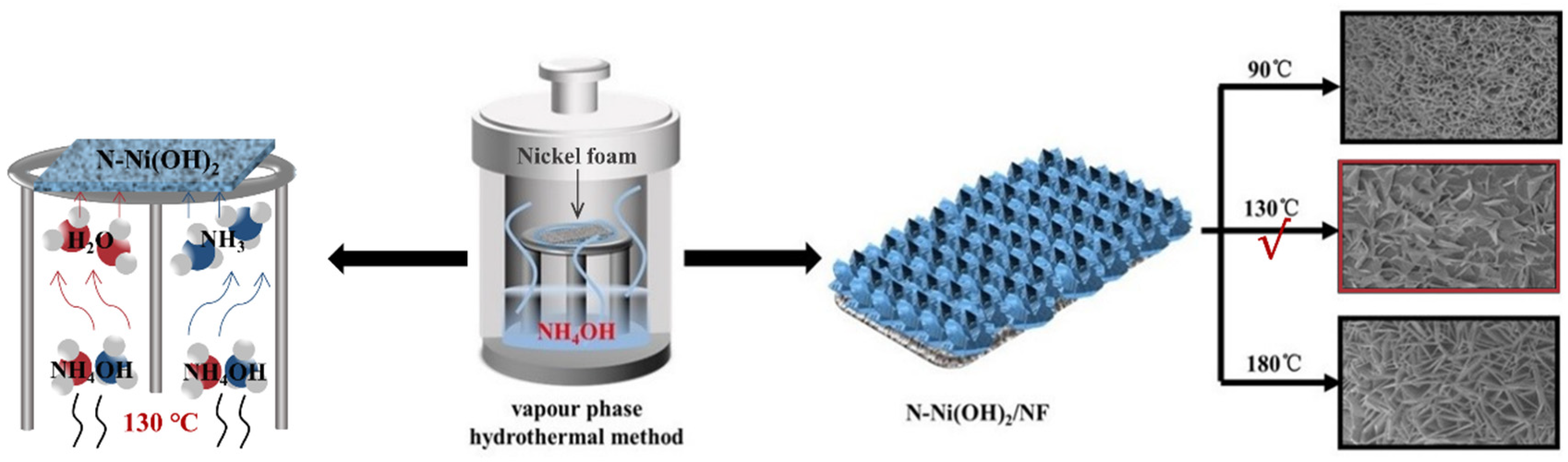 Catalysts 14 00534 g001