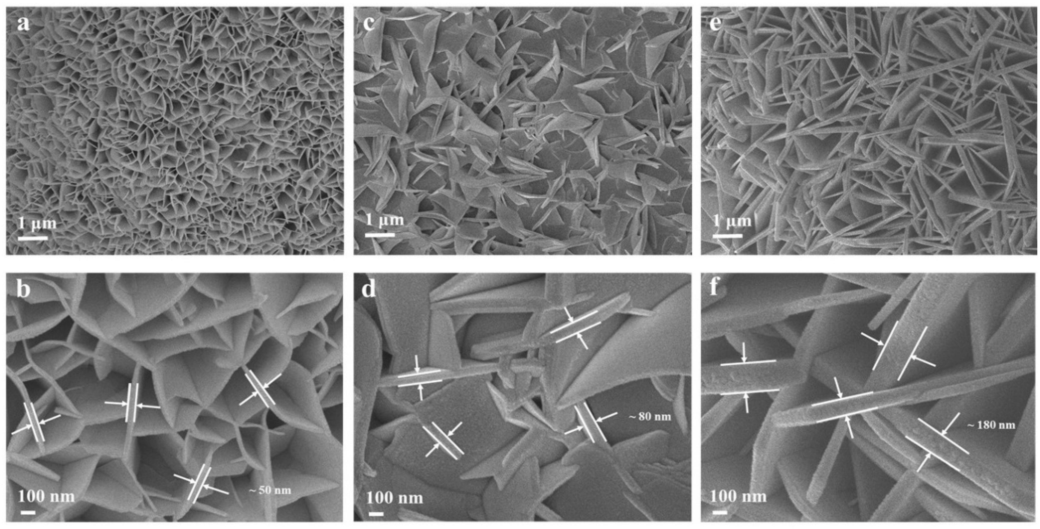 Catalysts 14 00534 g004