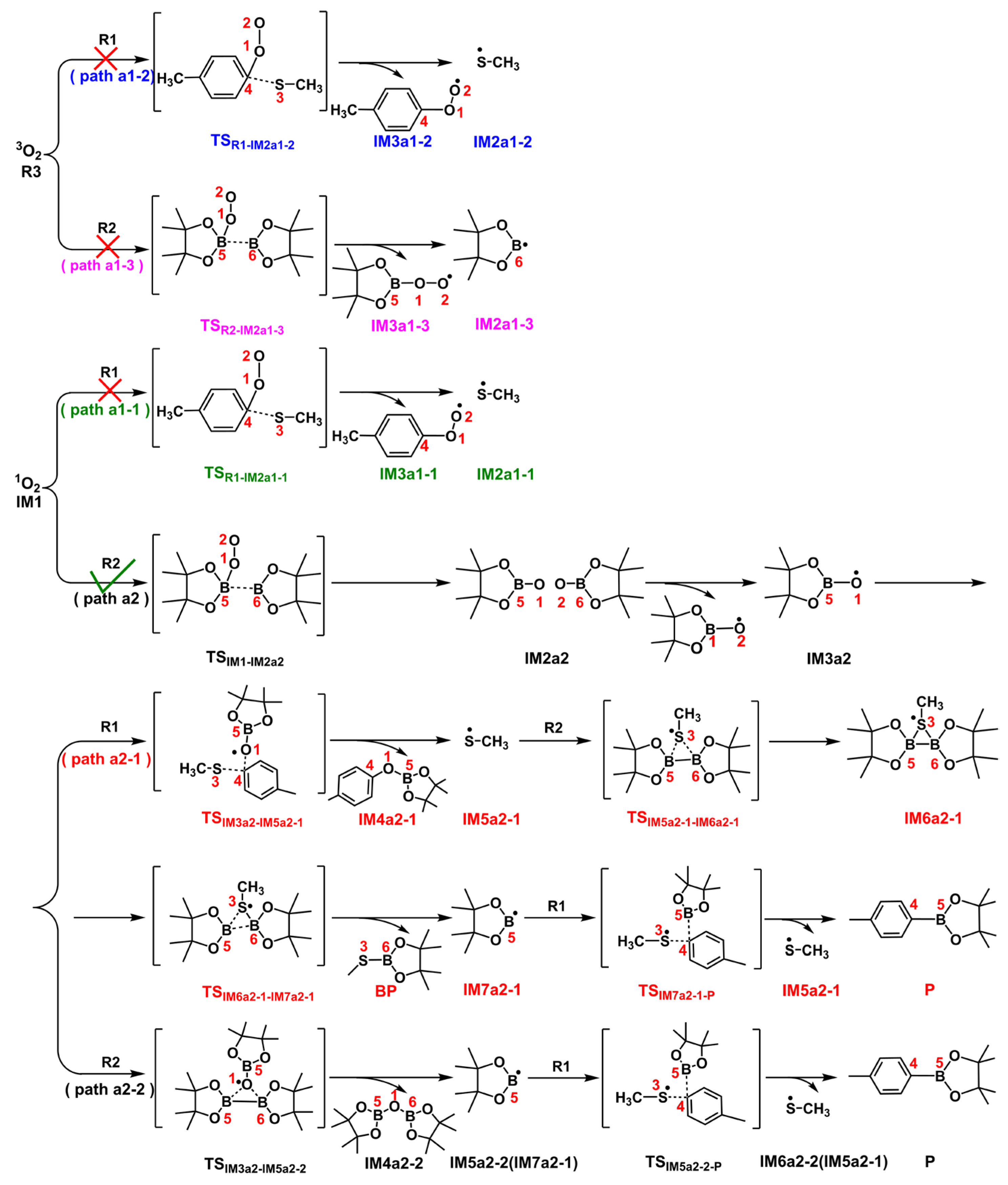 Catalysts 14 00550 sch004