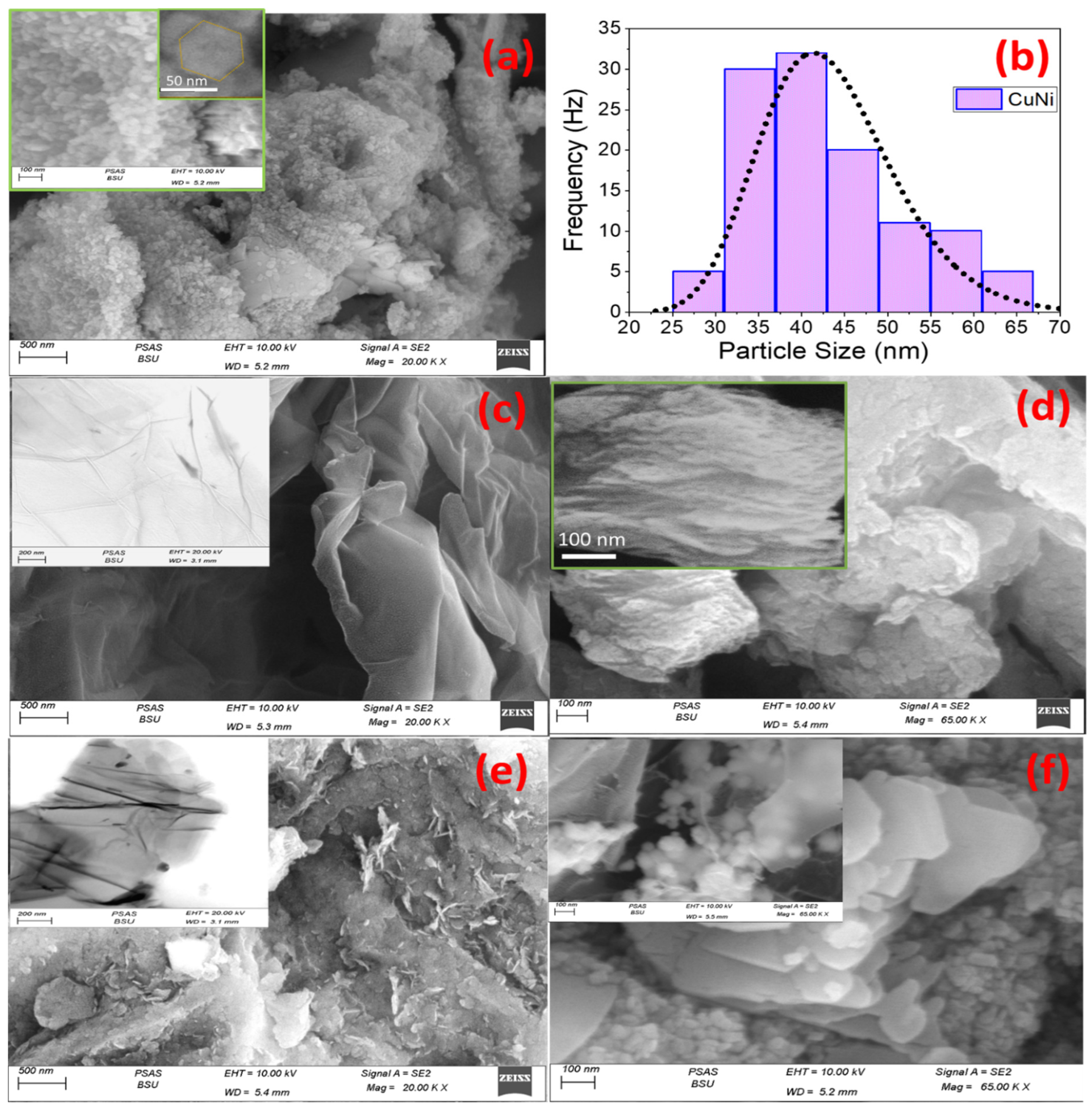 Catalysts 14 00551 g001