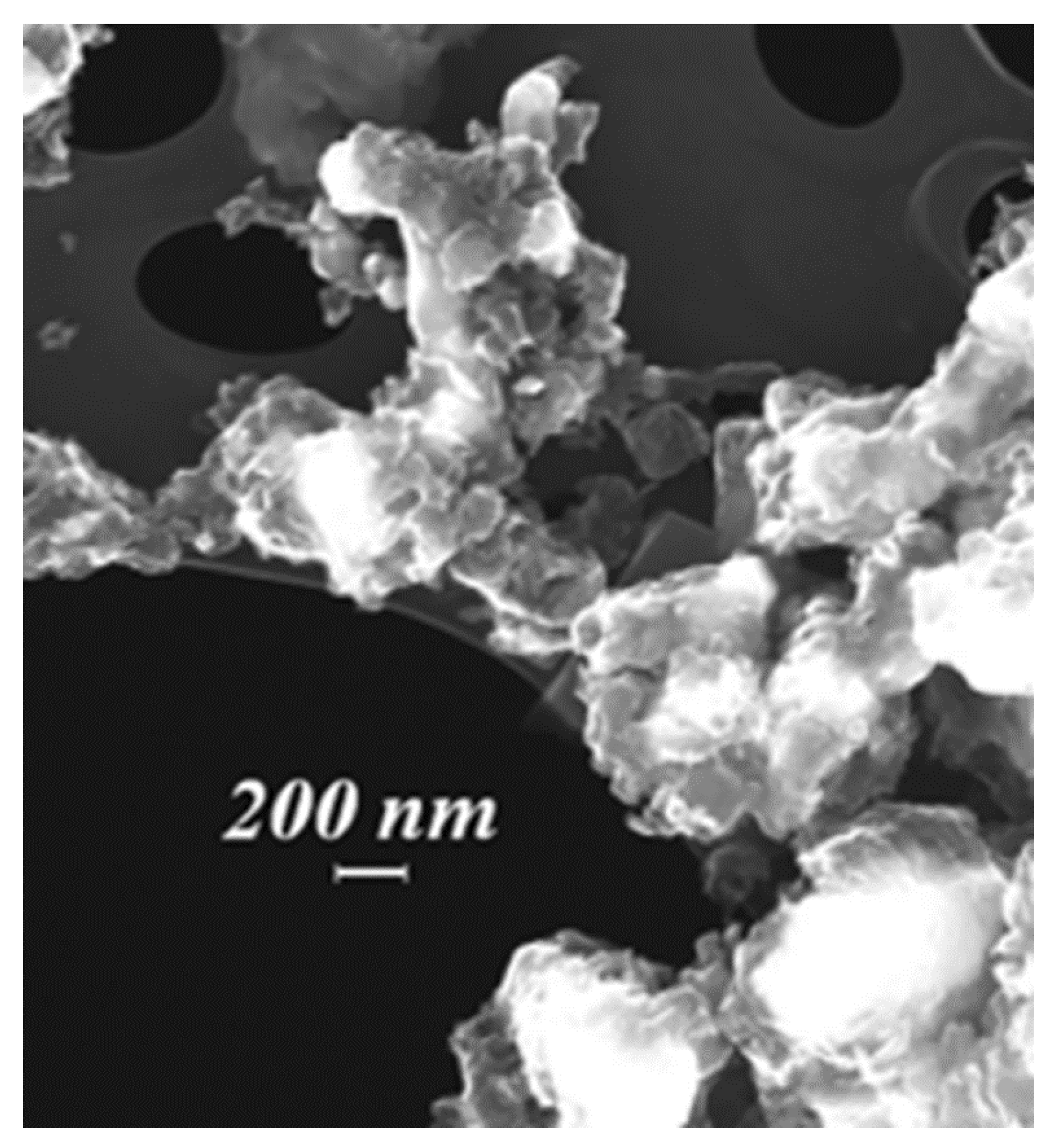 Catalysts 14 00552 g004 Catalysts 14 00552 g004