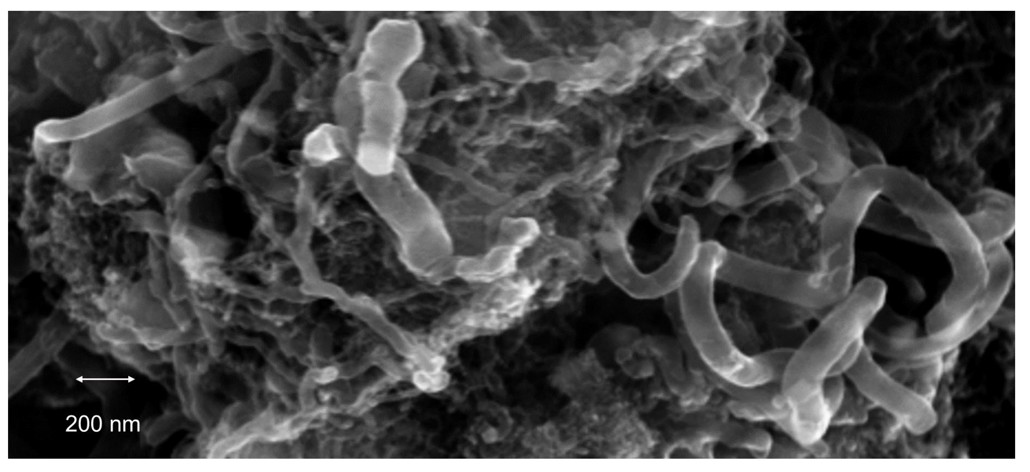 Catalysts 14 00552 g005 Catalysts 14 00552 g005