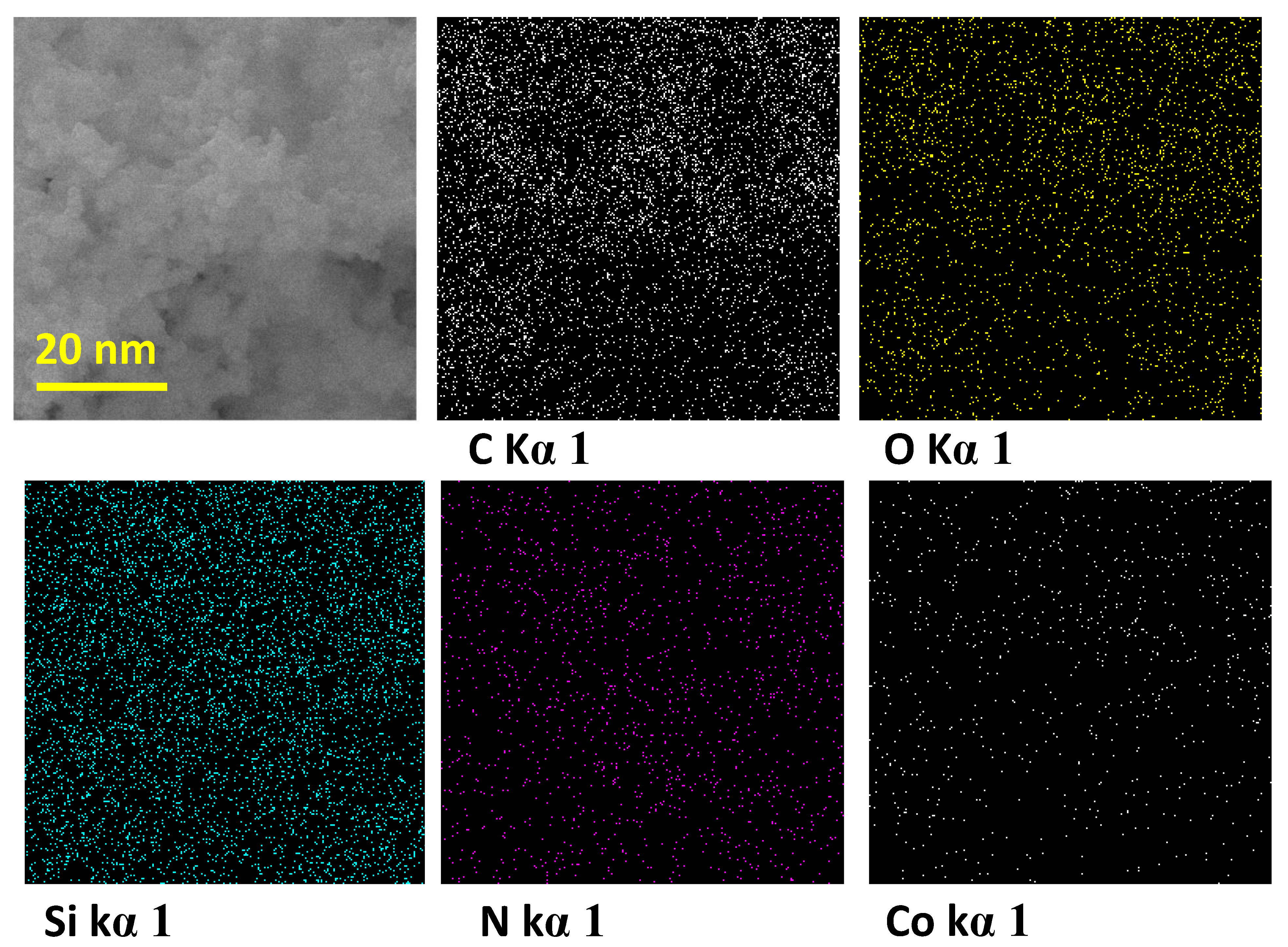 Catalysts 14 00557 g002 Catalysts 14 00557 g002