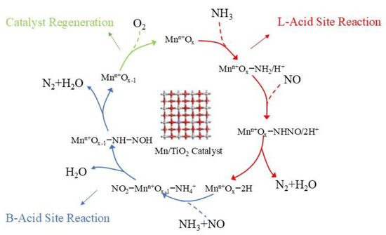 Catalysts 14 00558 g002