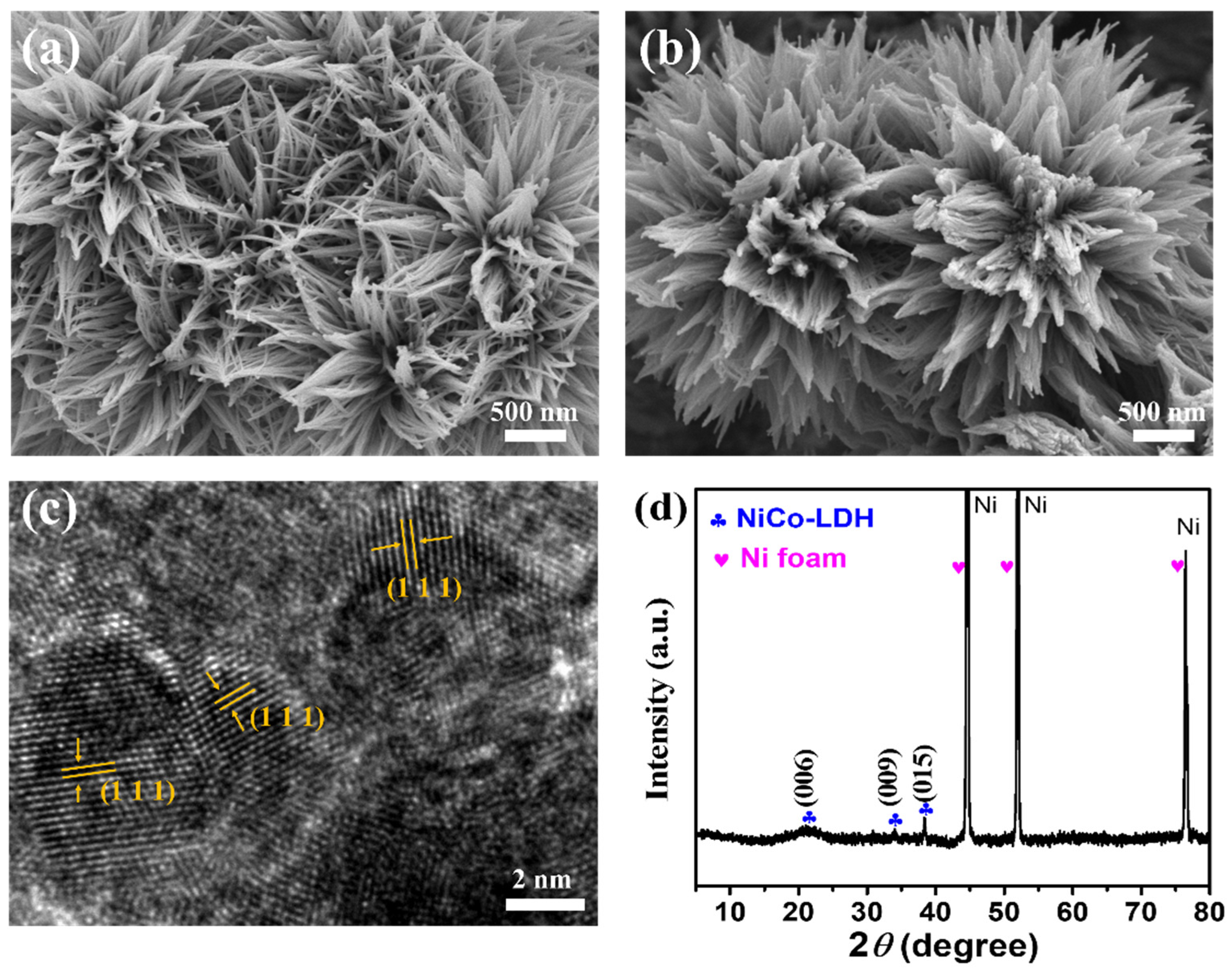 Catalysts 14 00559 g001