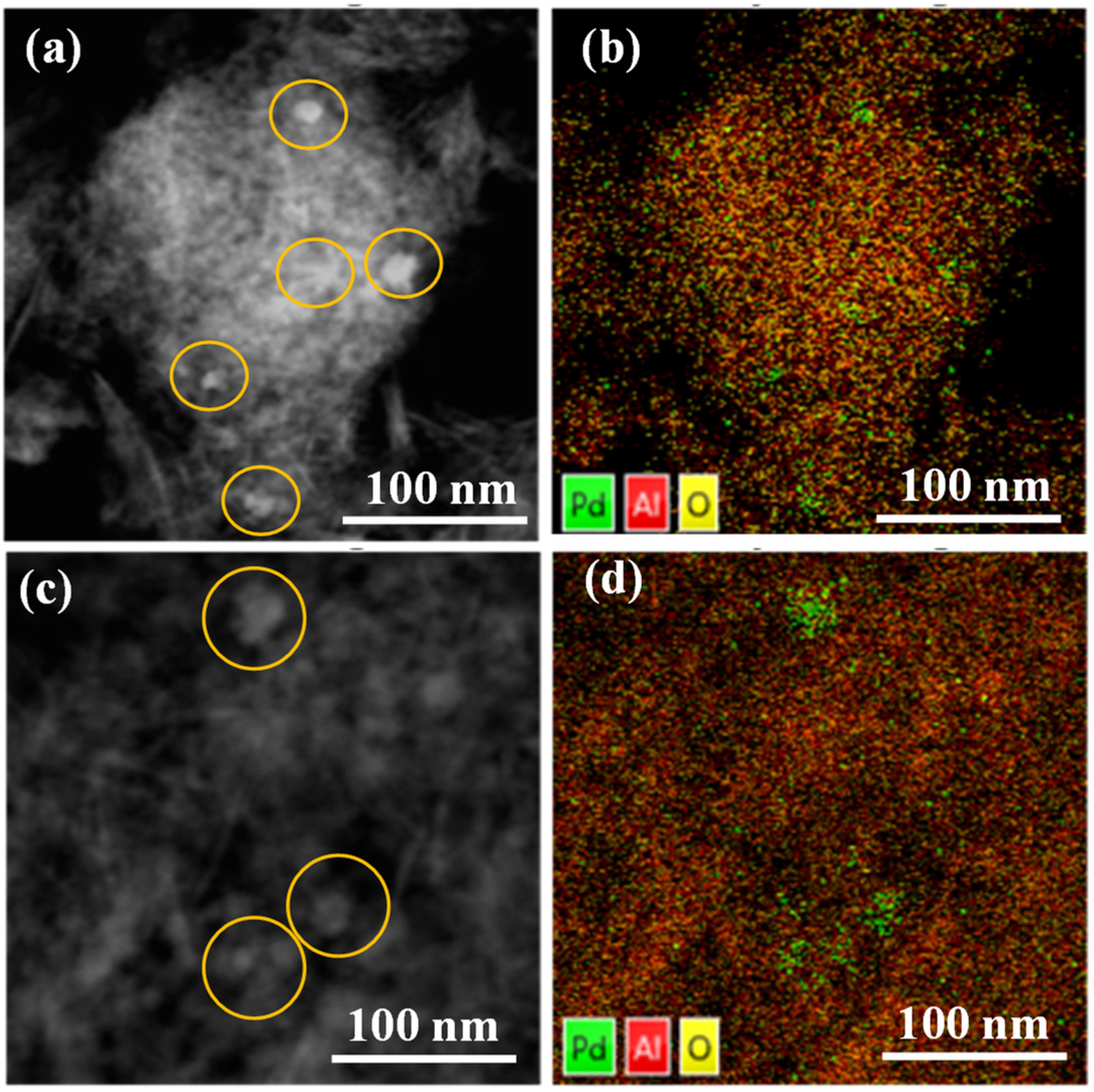 Catalysts 14 00563 g002