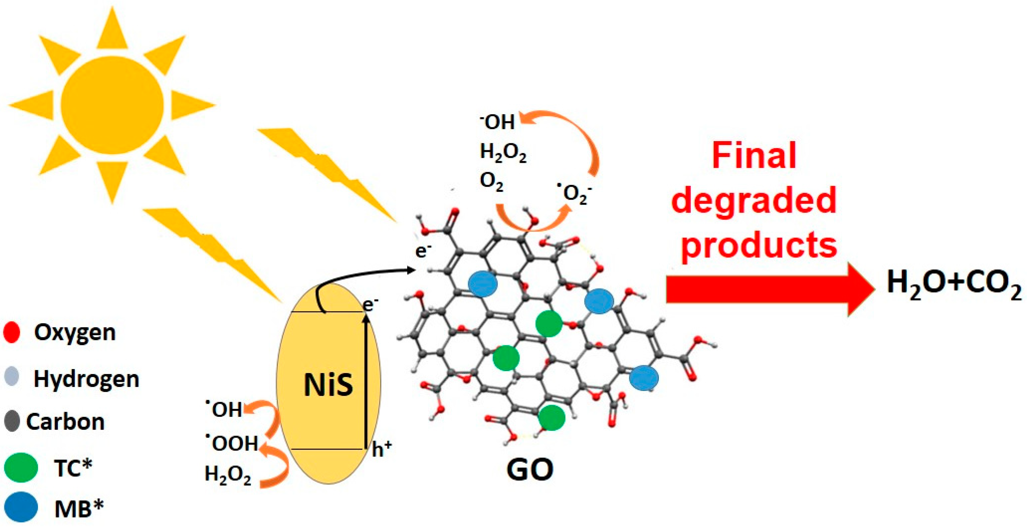 Catalysts 14 00567 g005
