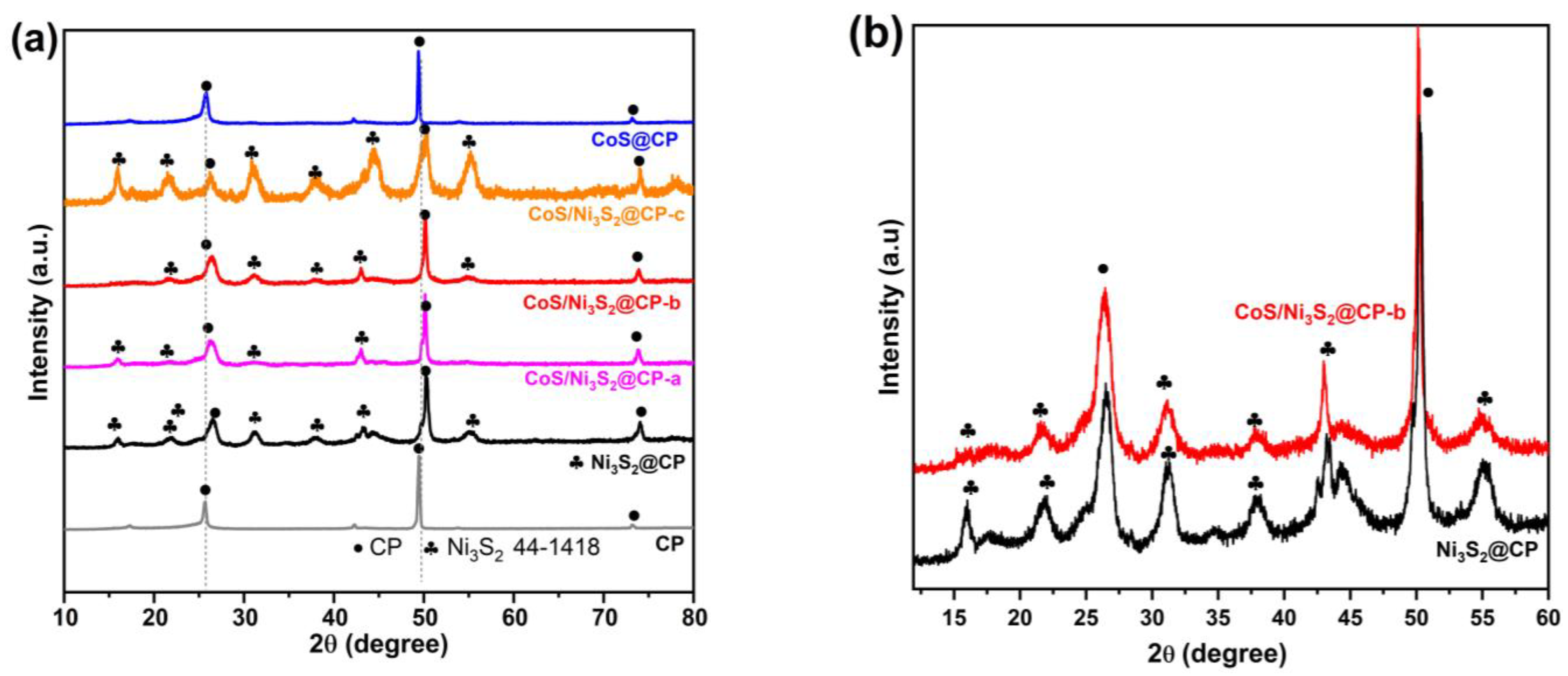 Catalysts 14 00570 g002