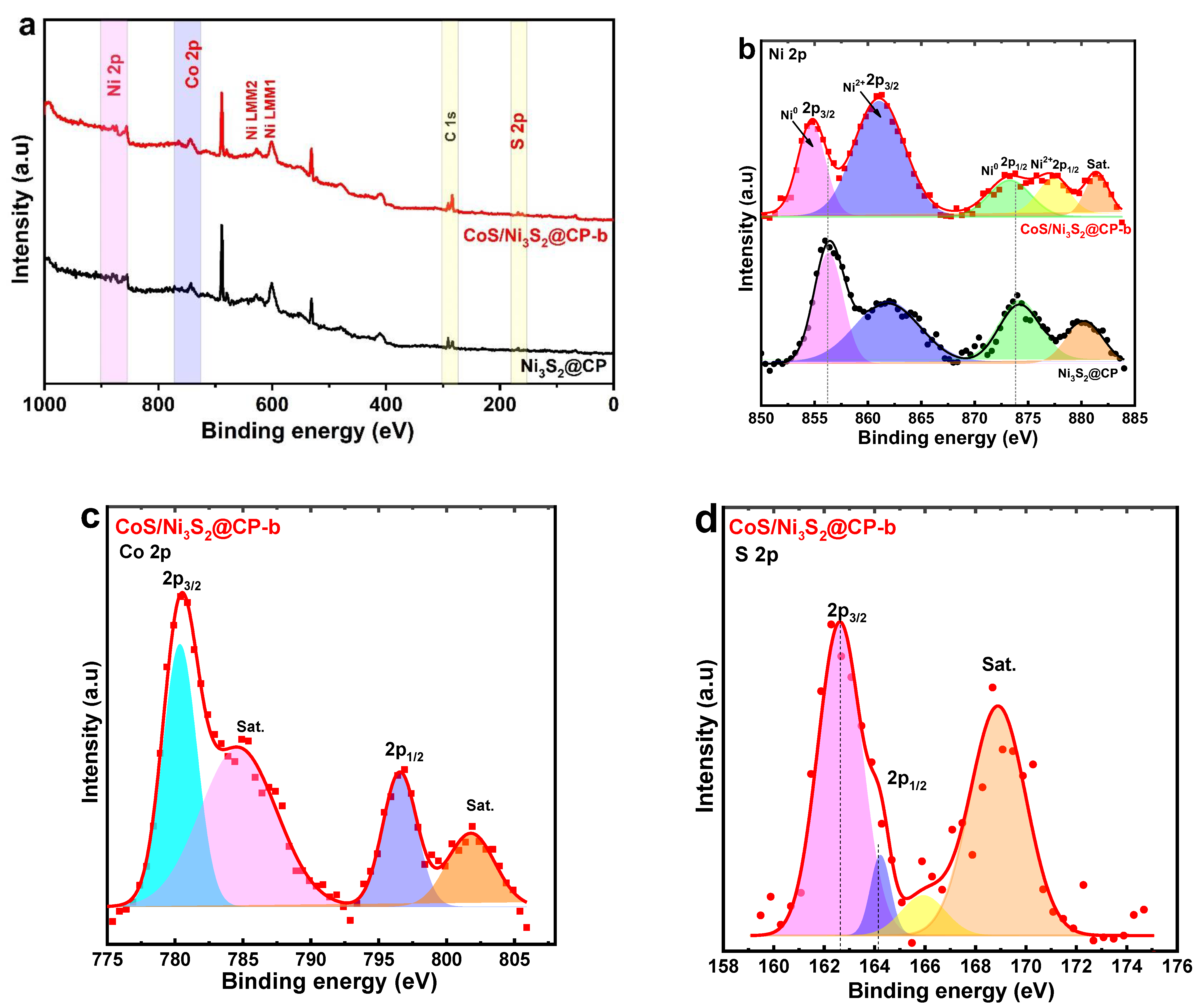 Catalysts 14 00570 g004