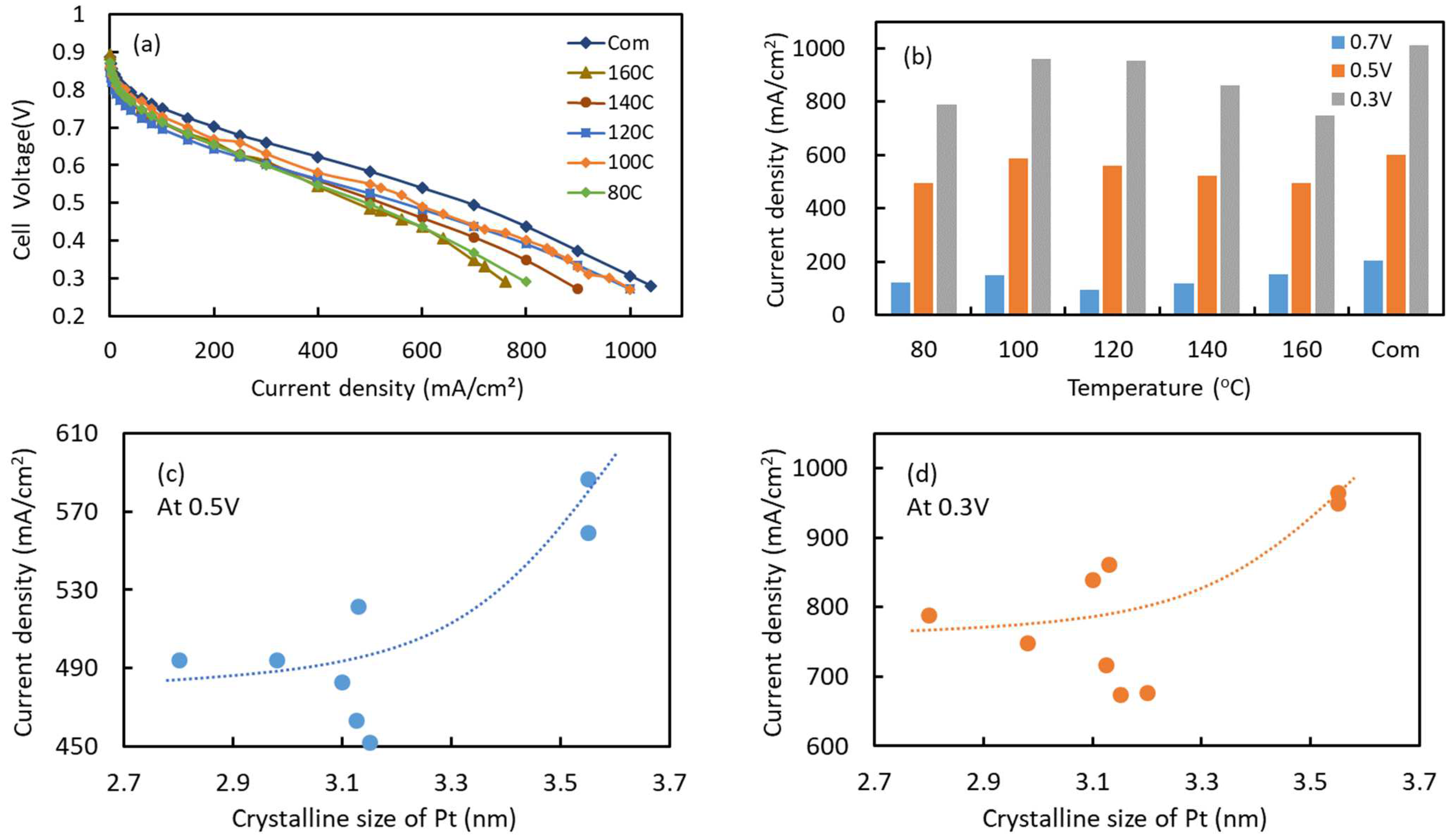 Catalysts 14 00577 g006