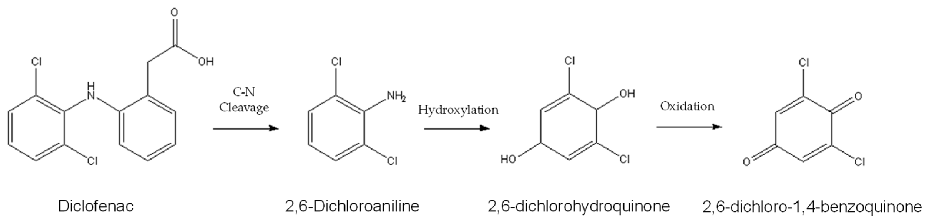 Catalysts 14 00580 g009 Catalysts 14 00580 g009