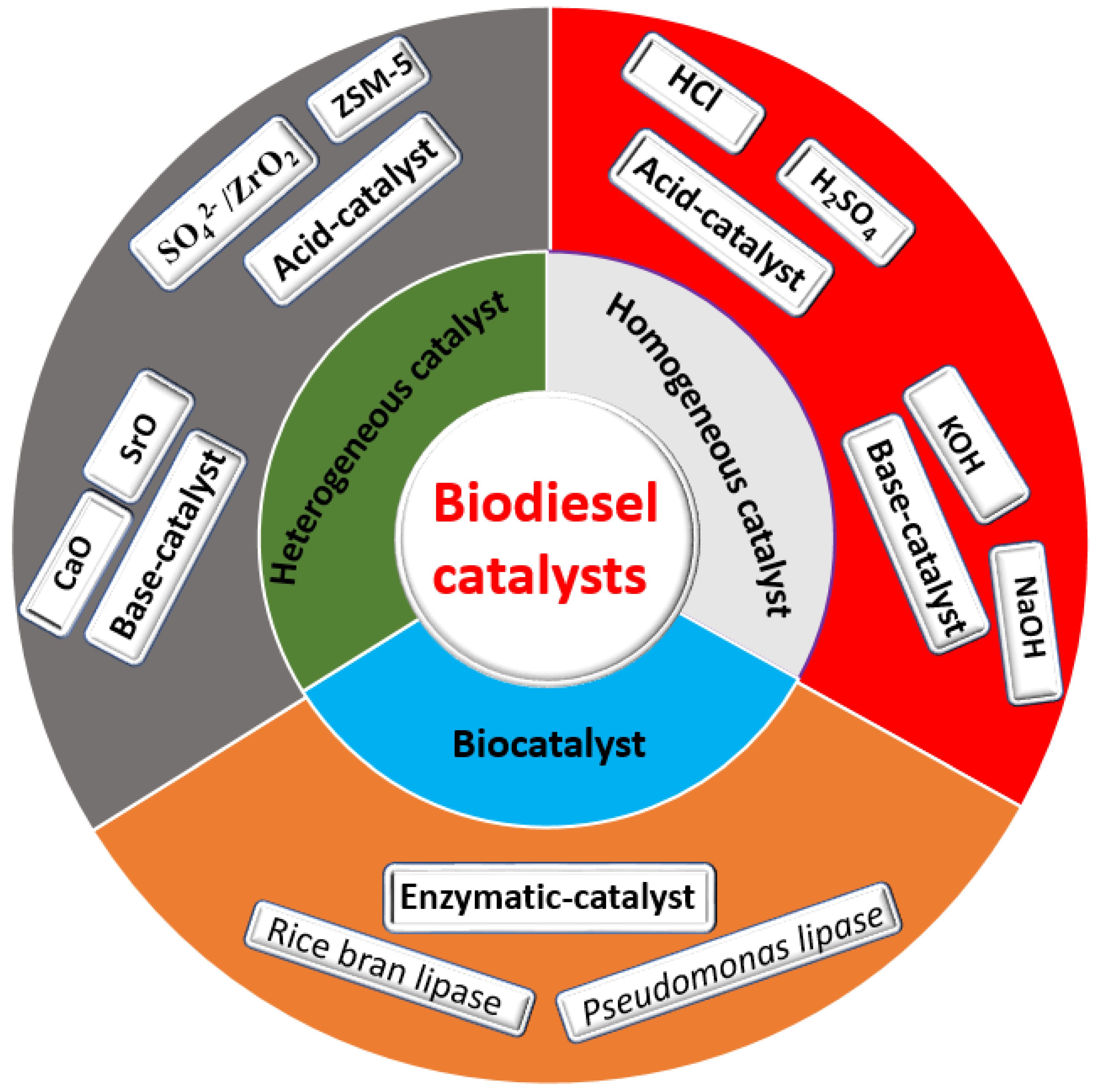 Catalysts 14 00581 g004