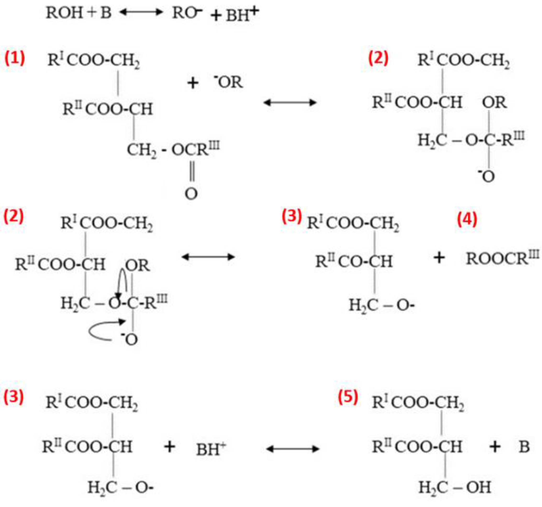 Catalysts 14 00581 g005