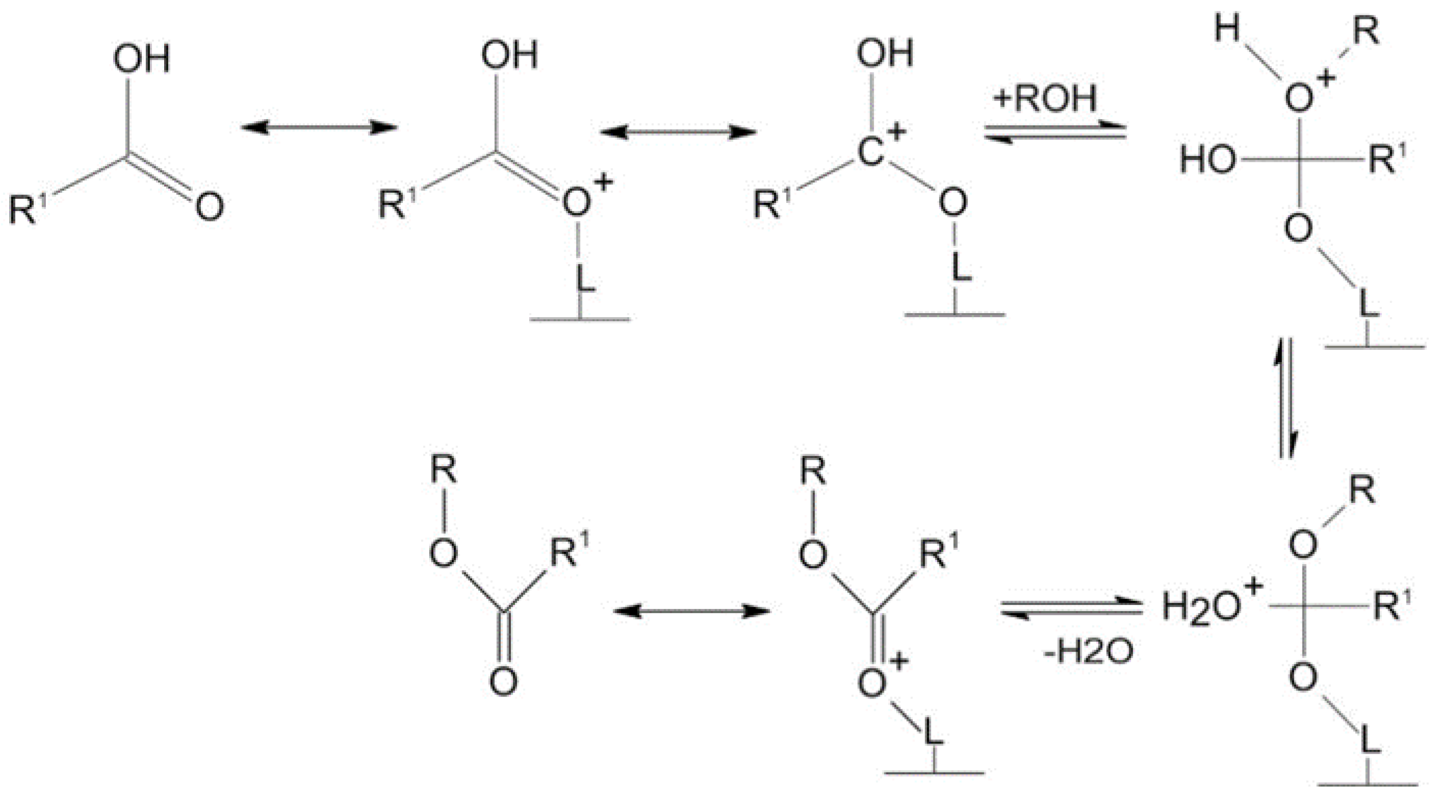 Catalysts 14 00581 g010