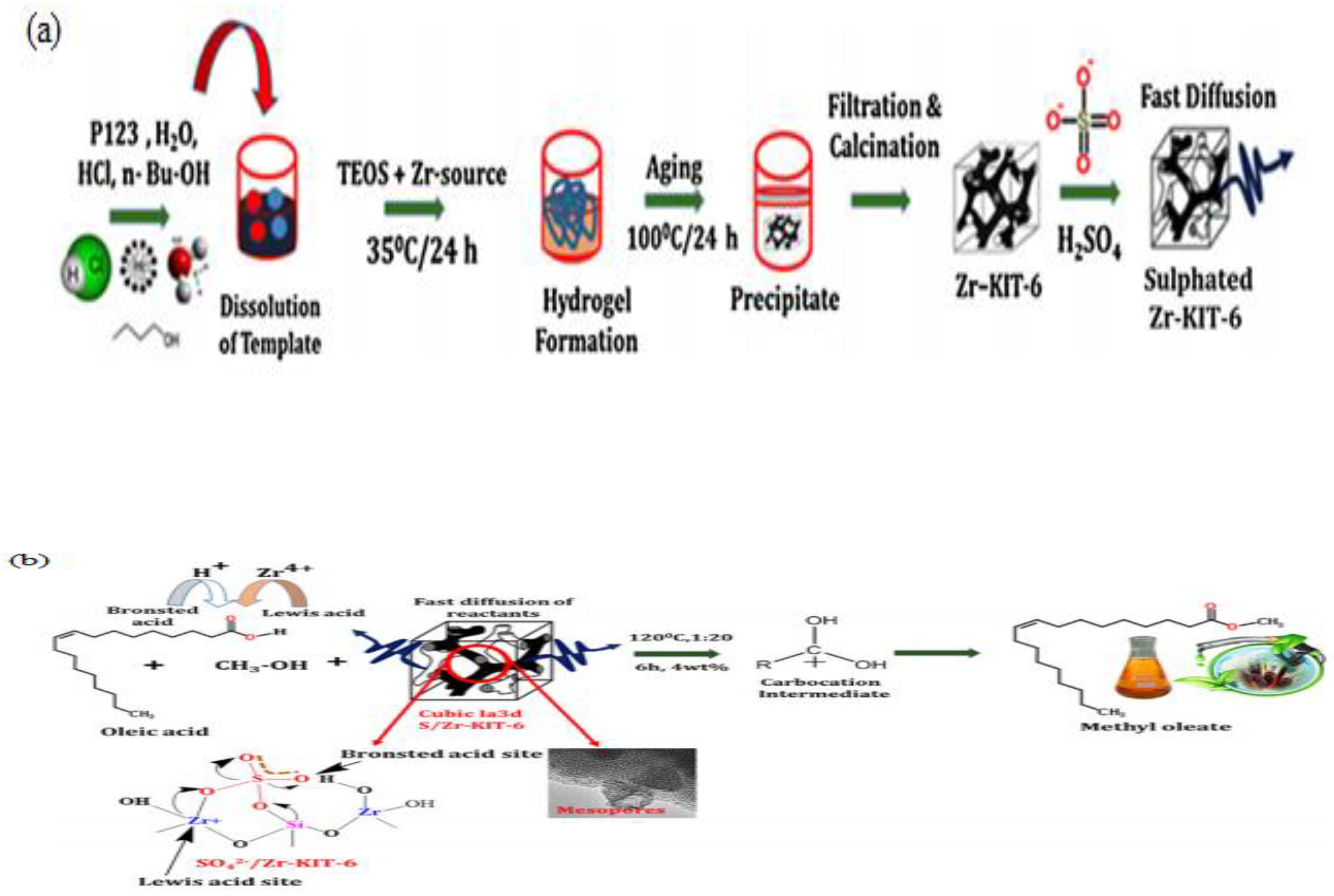 Catalysts 14 00581 g011