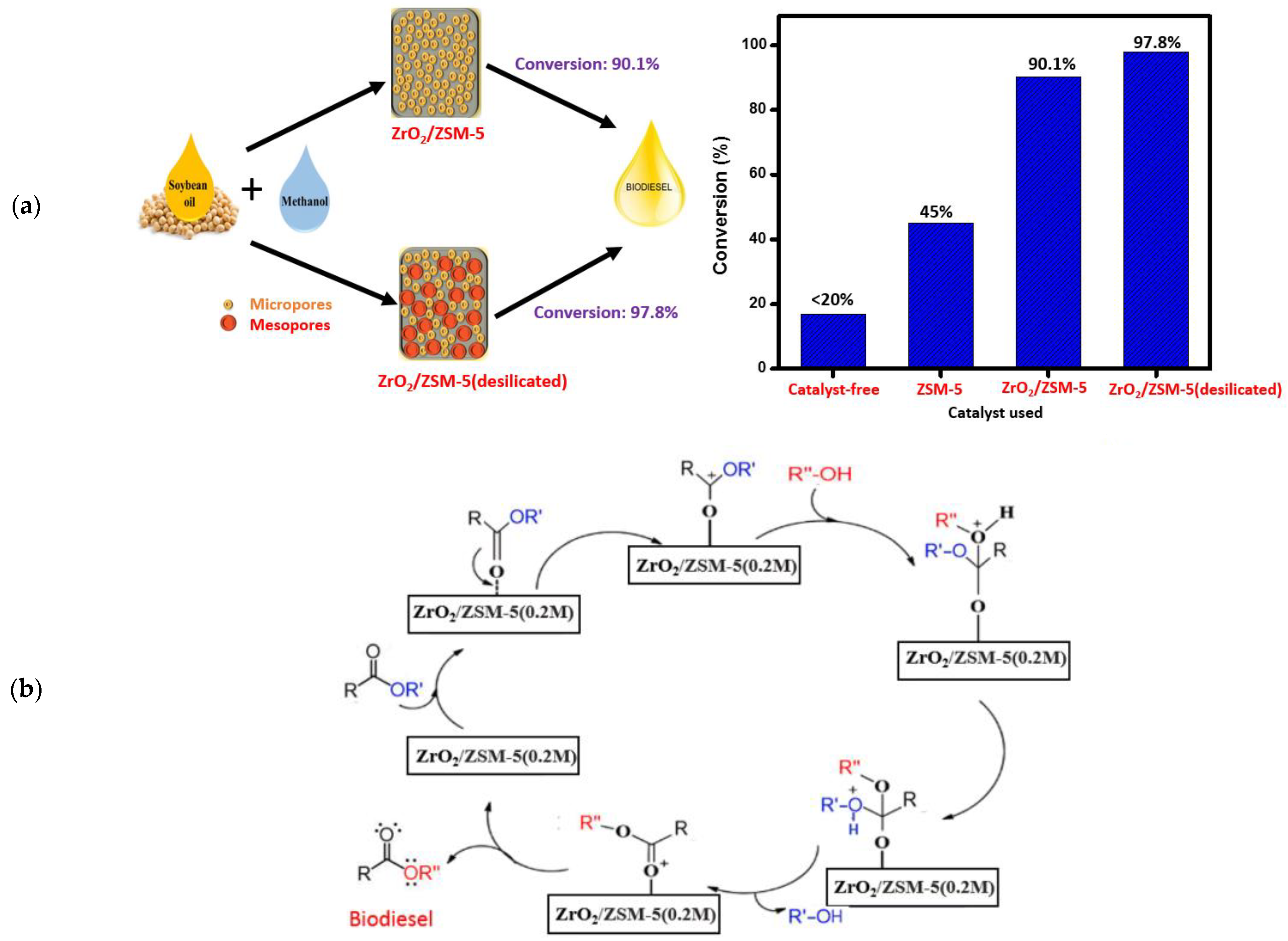 Catalysts 14 00581 g015
