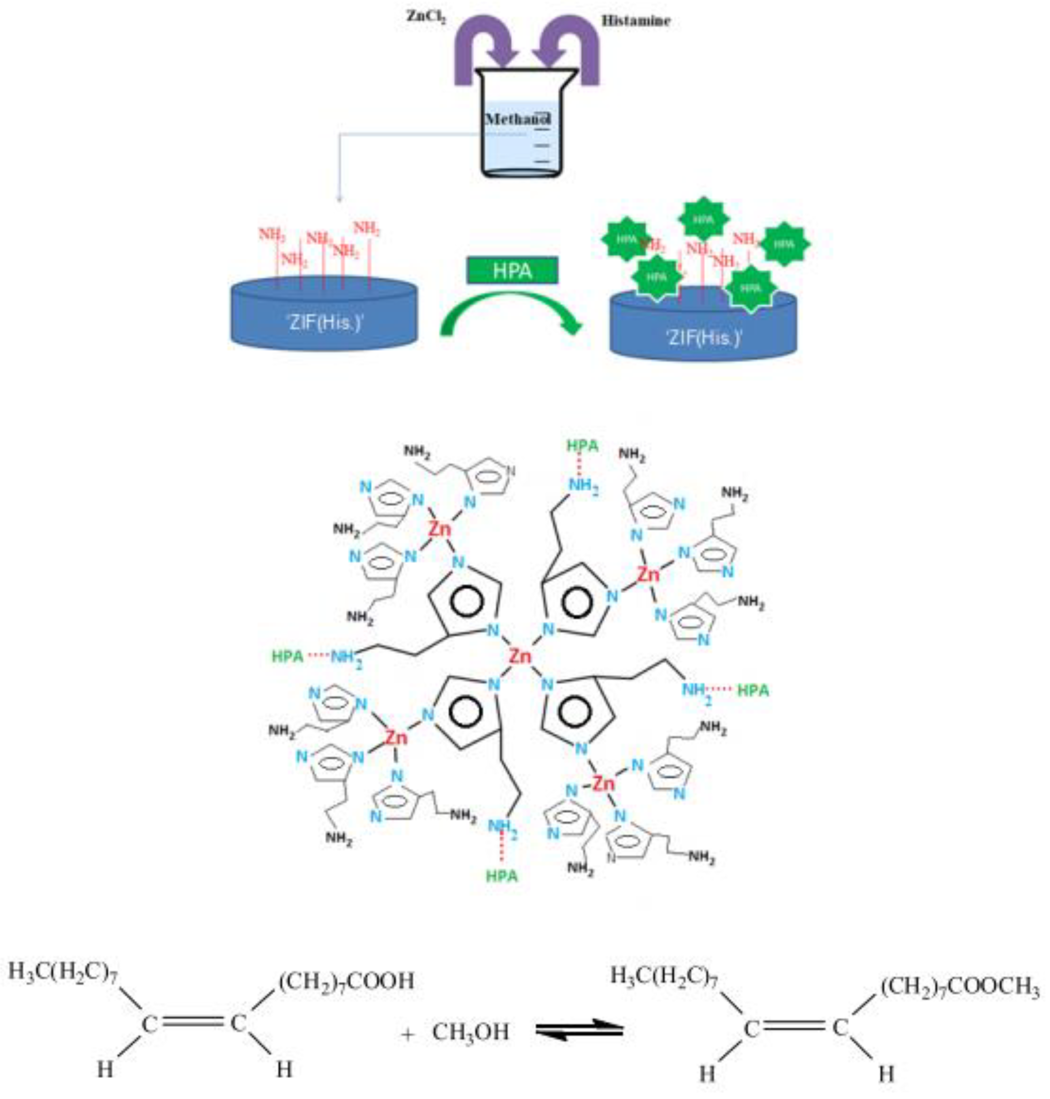 Catalysts 14 00581 g021