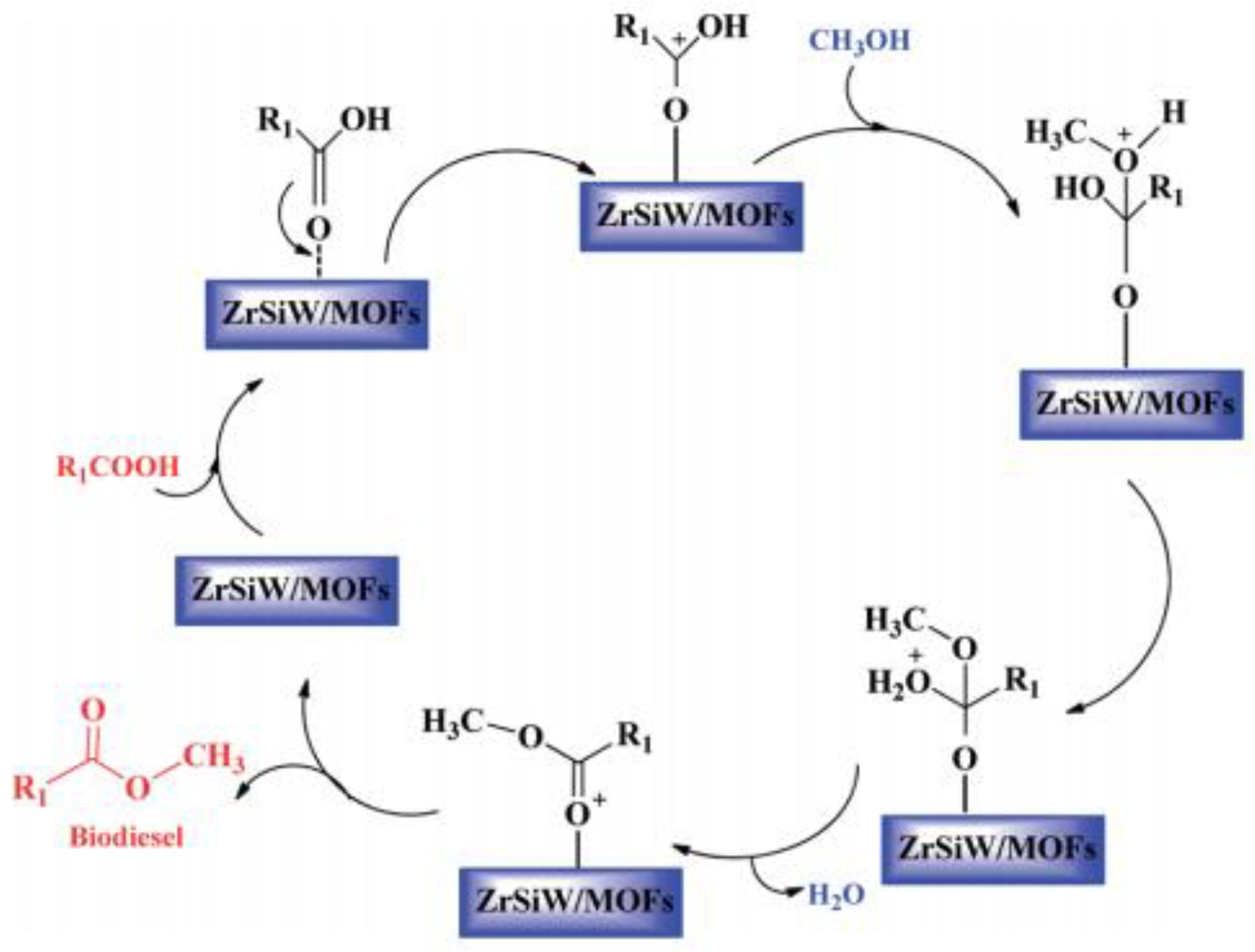 Catalysts 14 00581 g022
