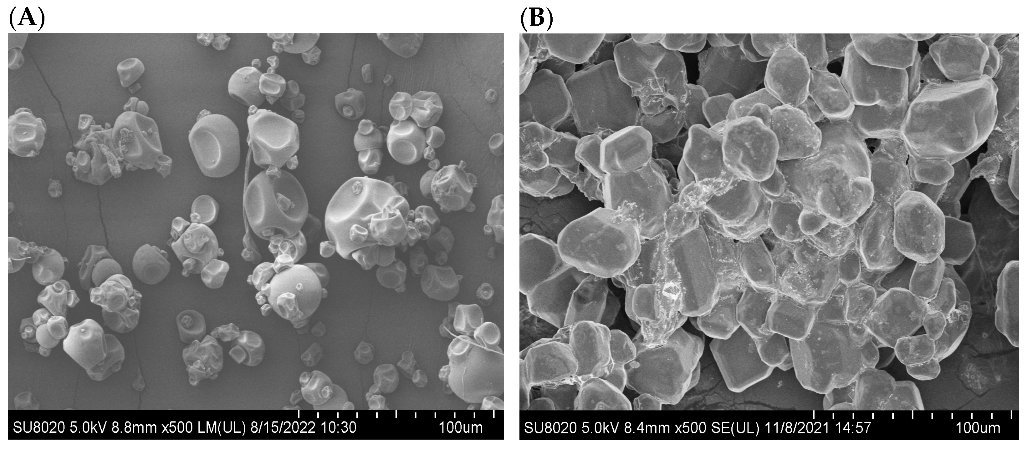 Catalysts 14 00584 g005a