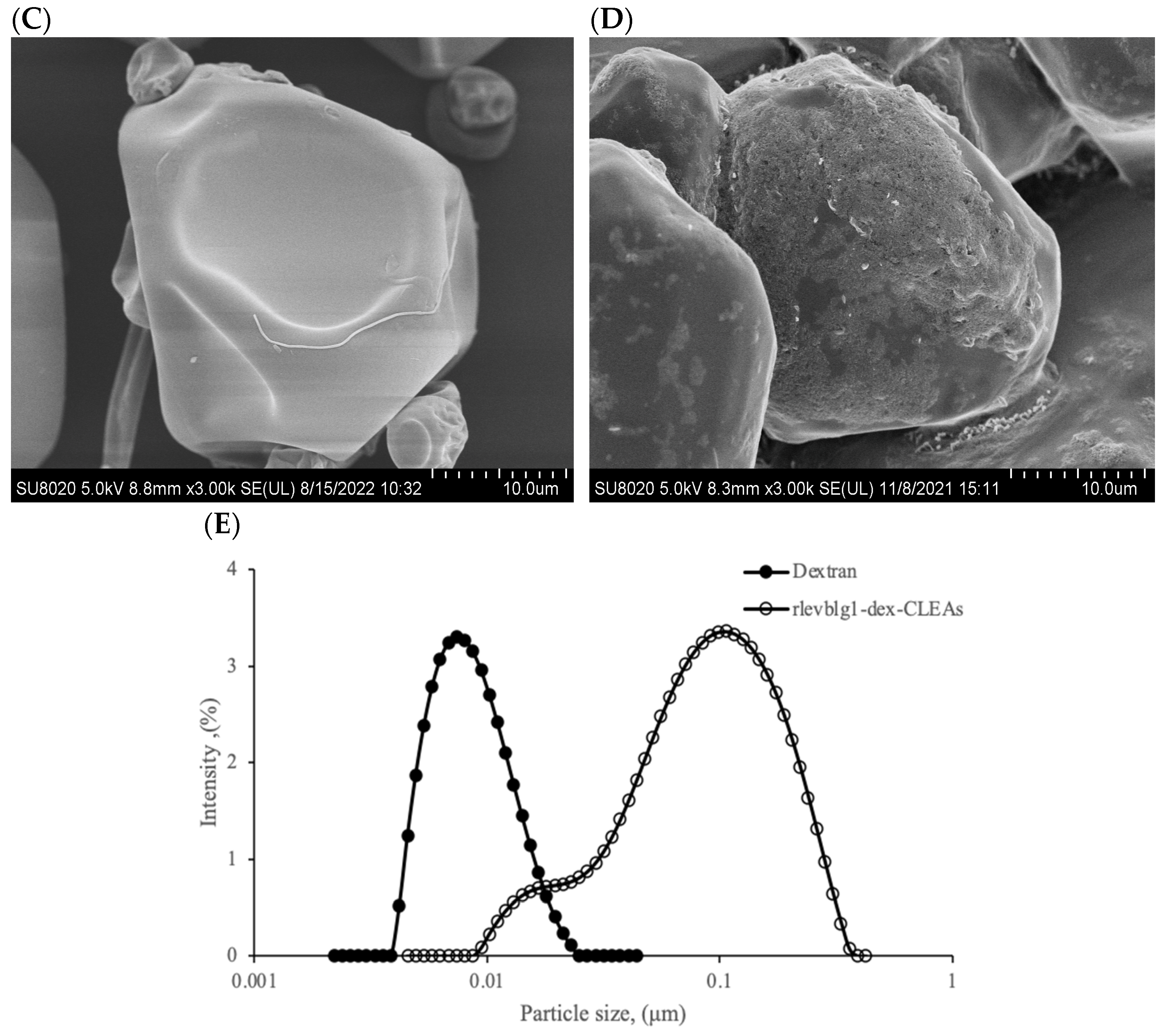 Catalysts 14 00584 g005b