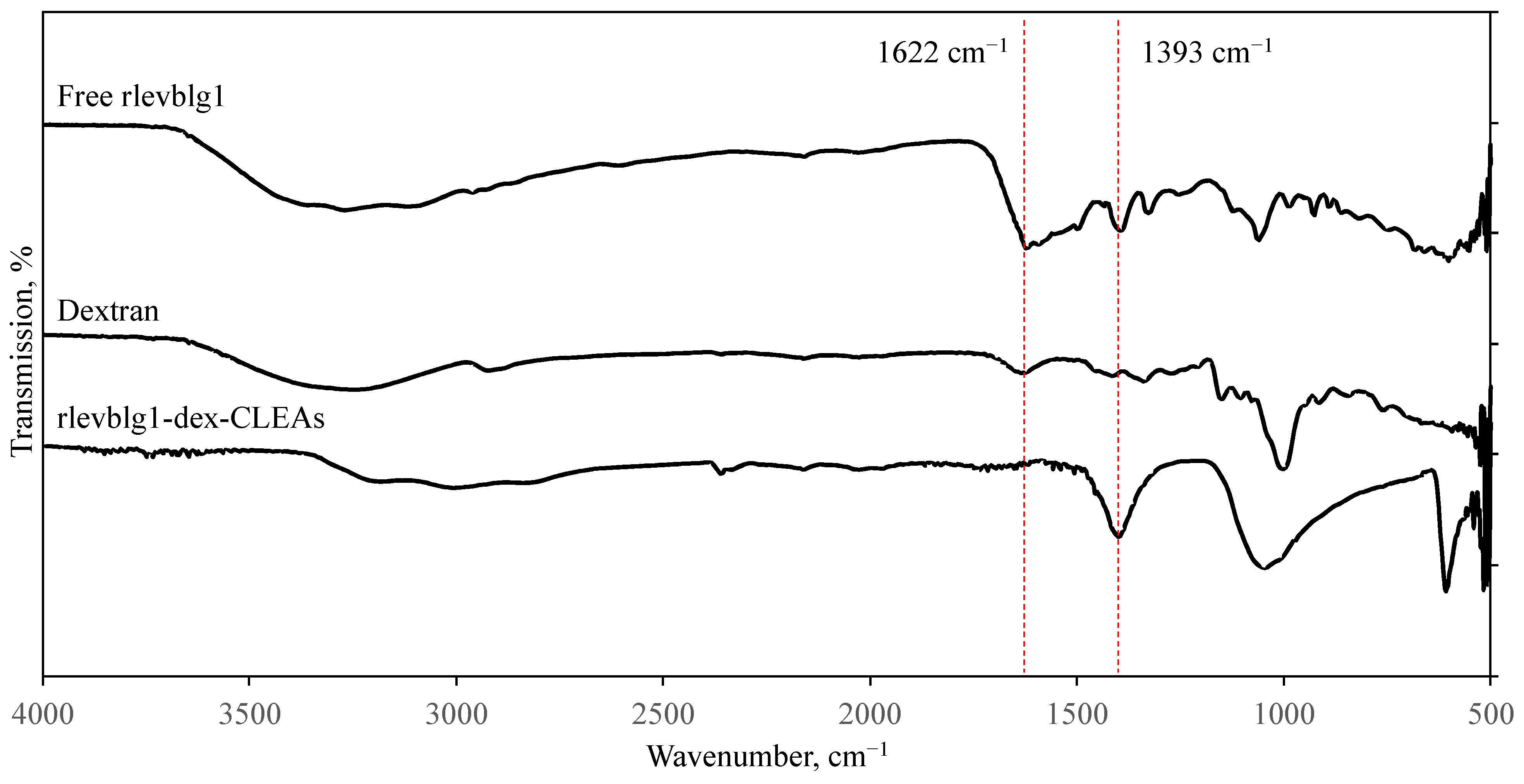 Catalysts 14 00584 g006