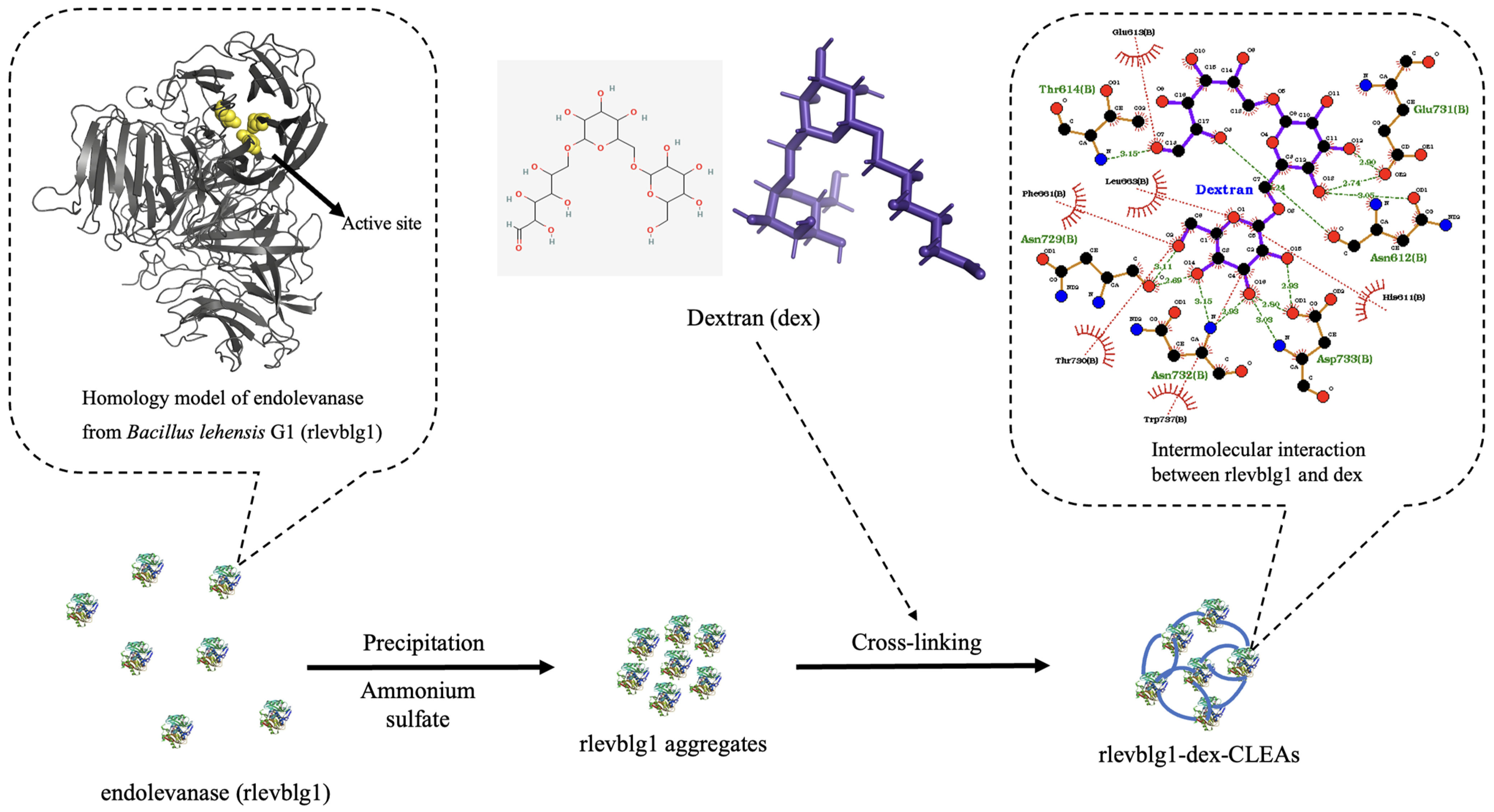 Catalysts 14 00584 sch001