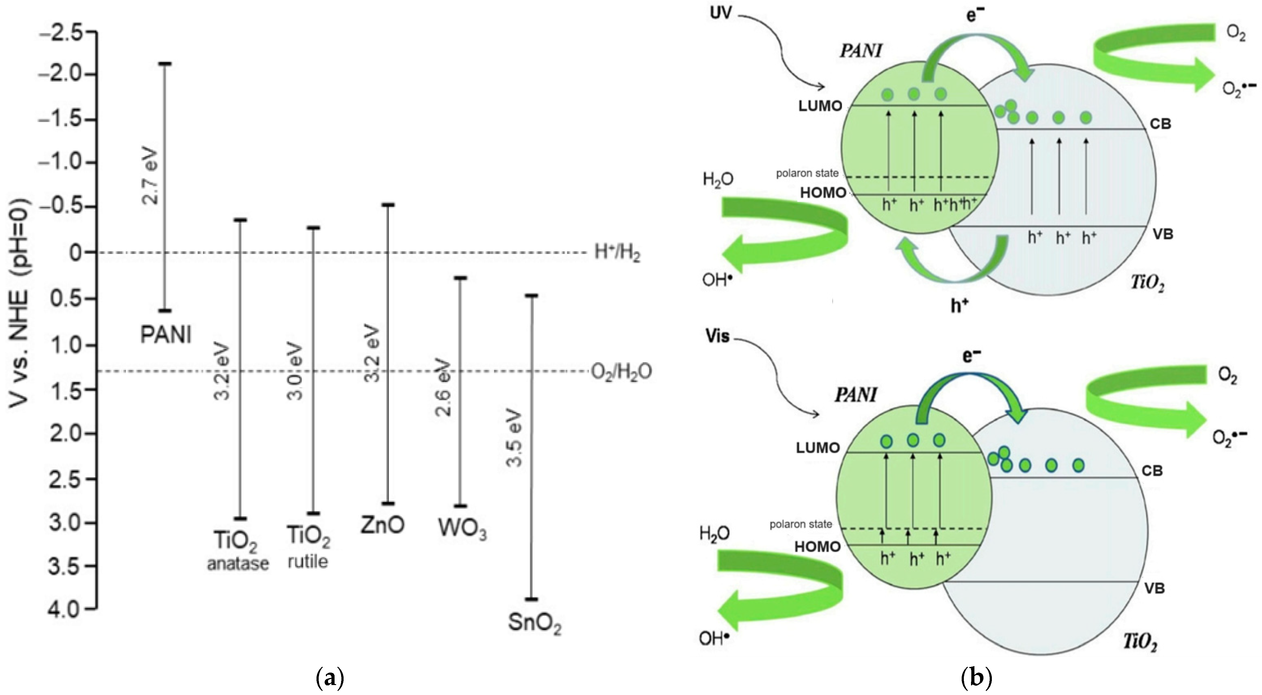 Catalysts 14 00585 g001