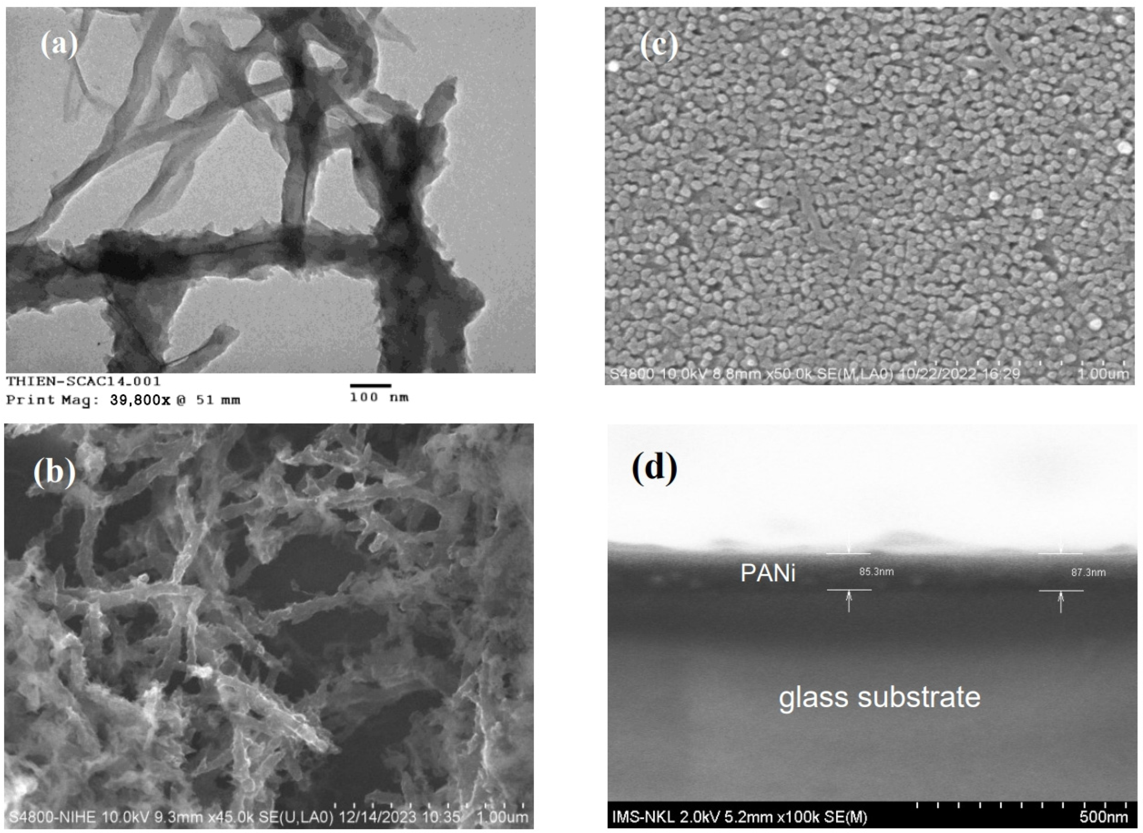 Catalysts 14 00585 g002