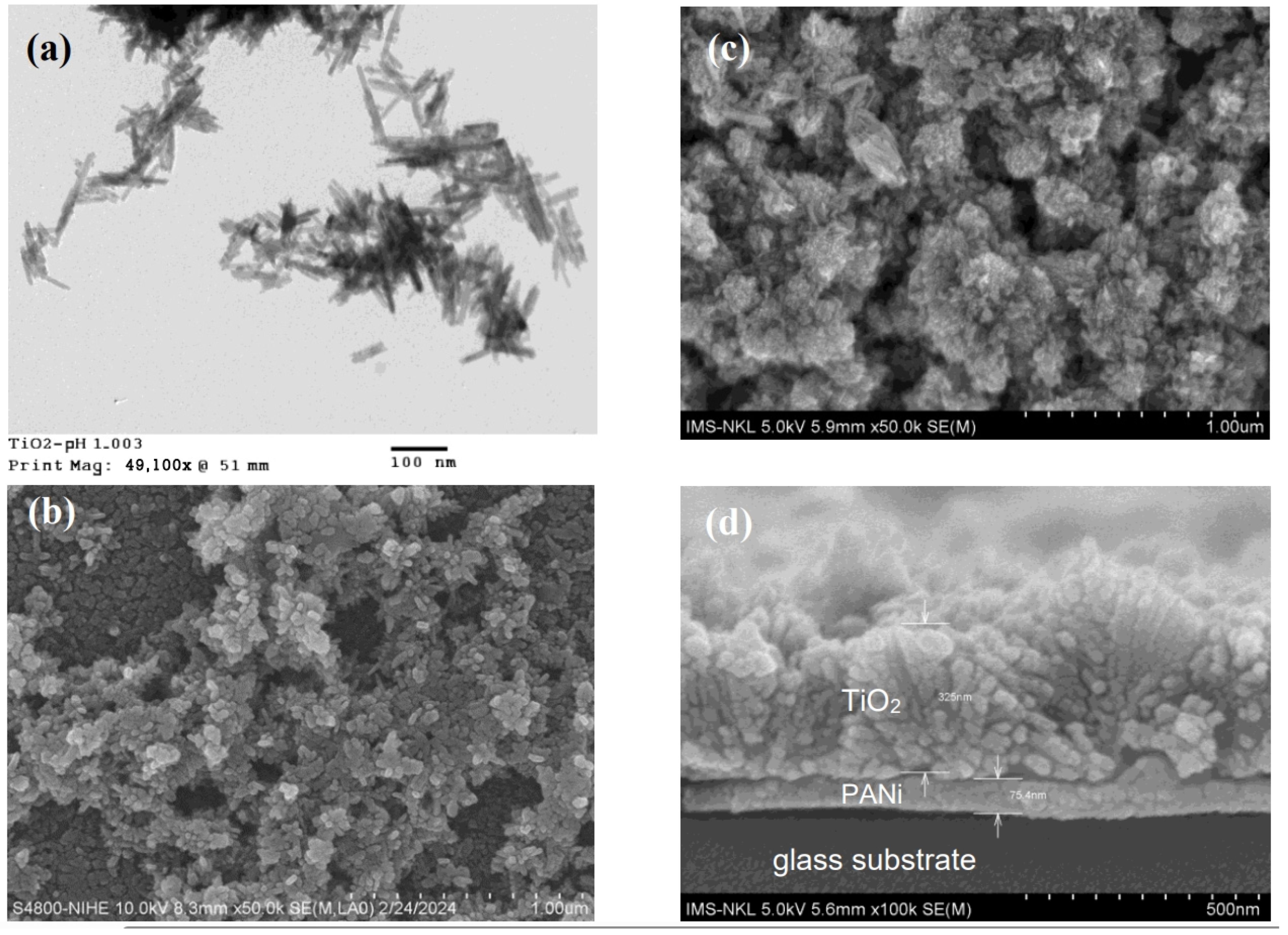 Catalysts 14 00585 g003
