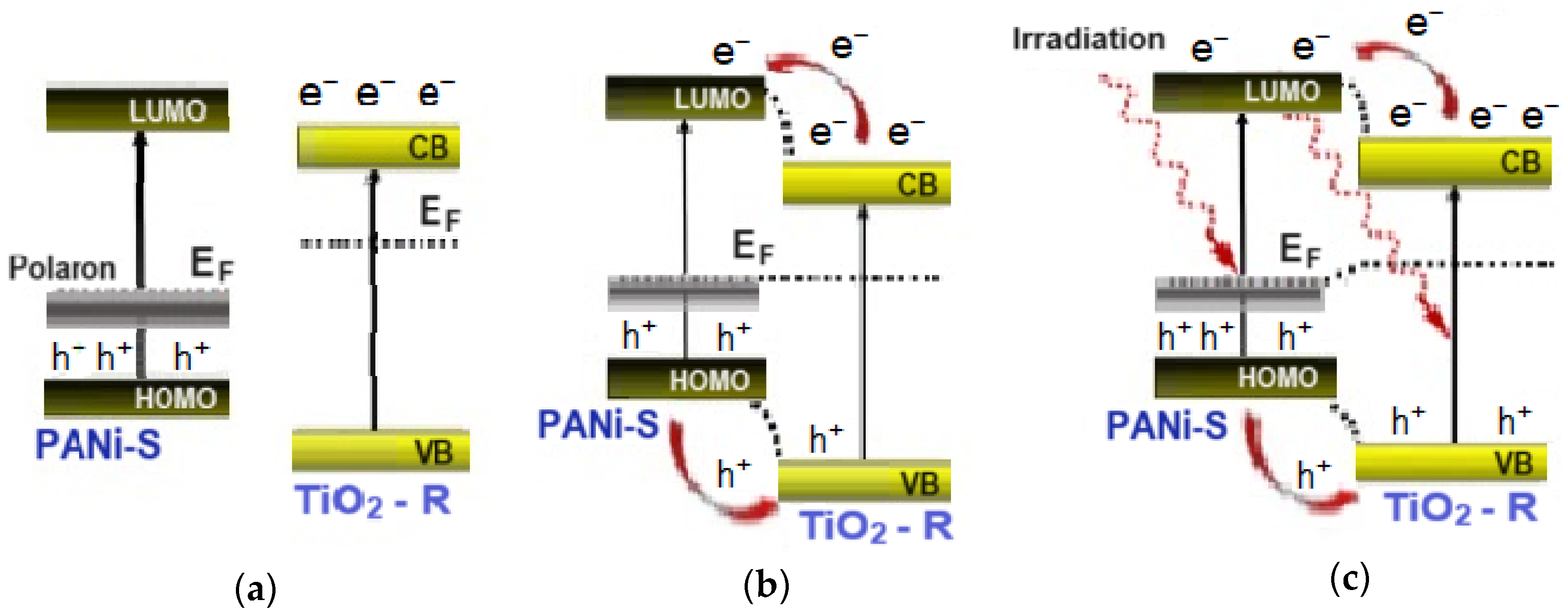 Catalysts 14 00585 g008