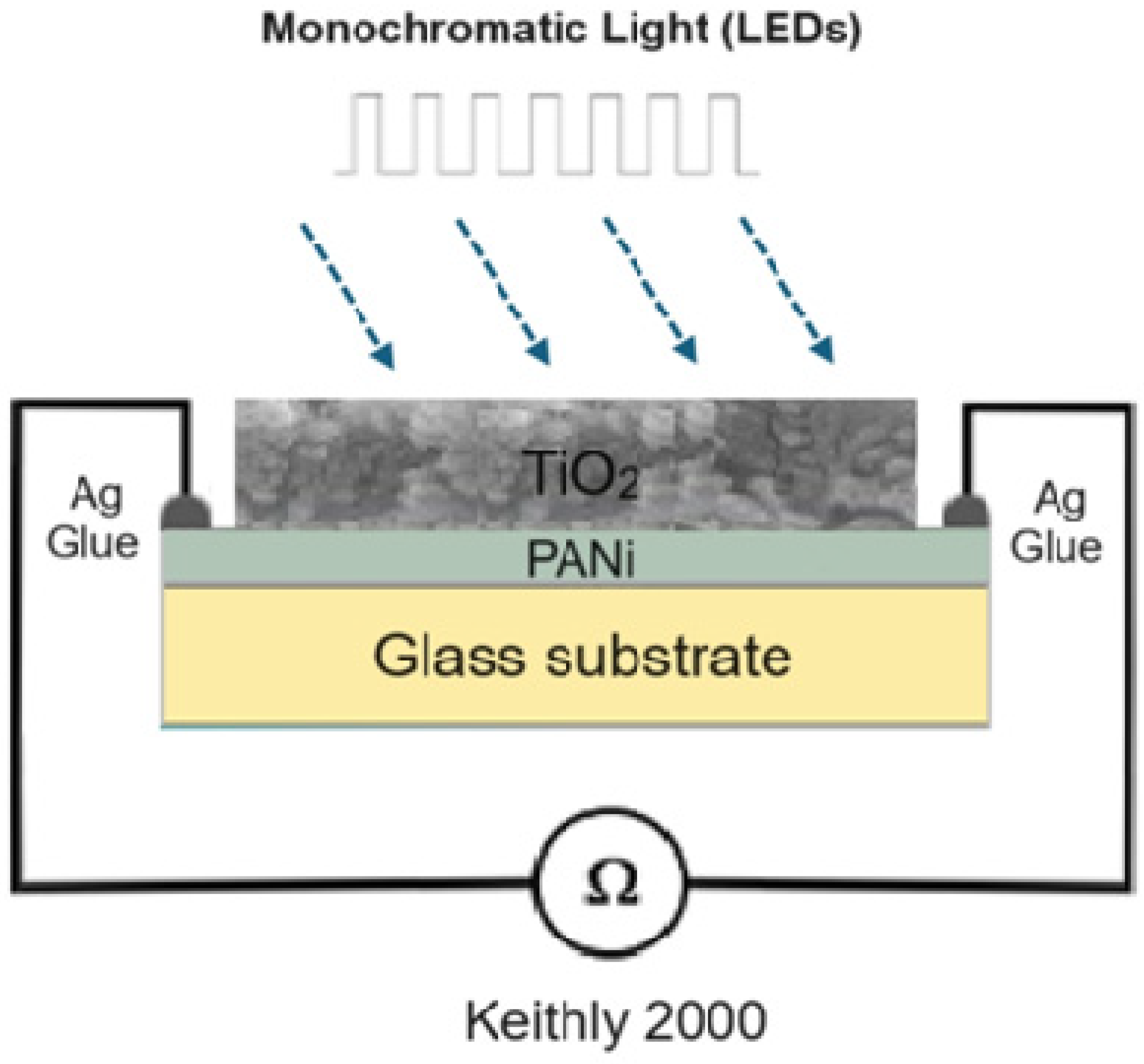 Catalysts 14 00585 g009