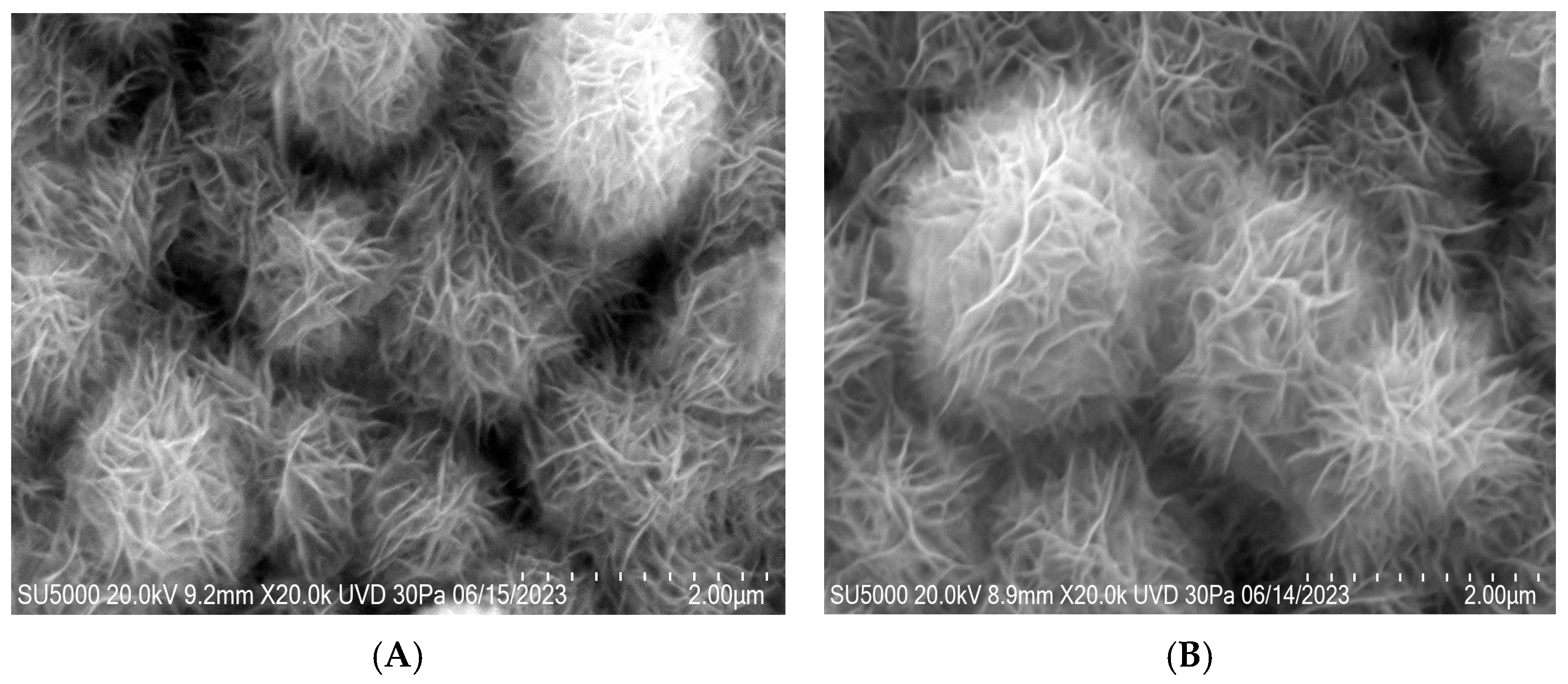 Catalysts 14 00589 g002