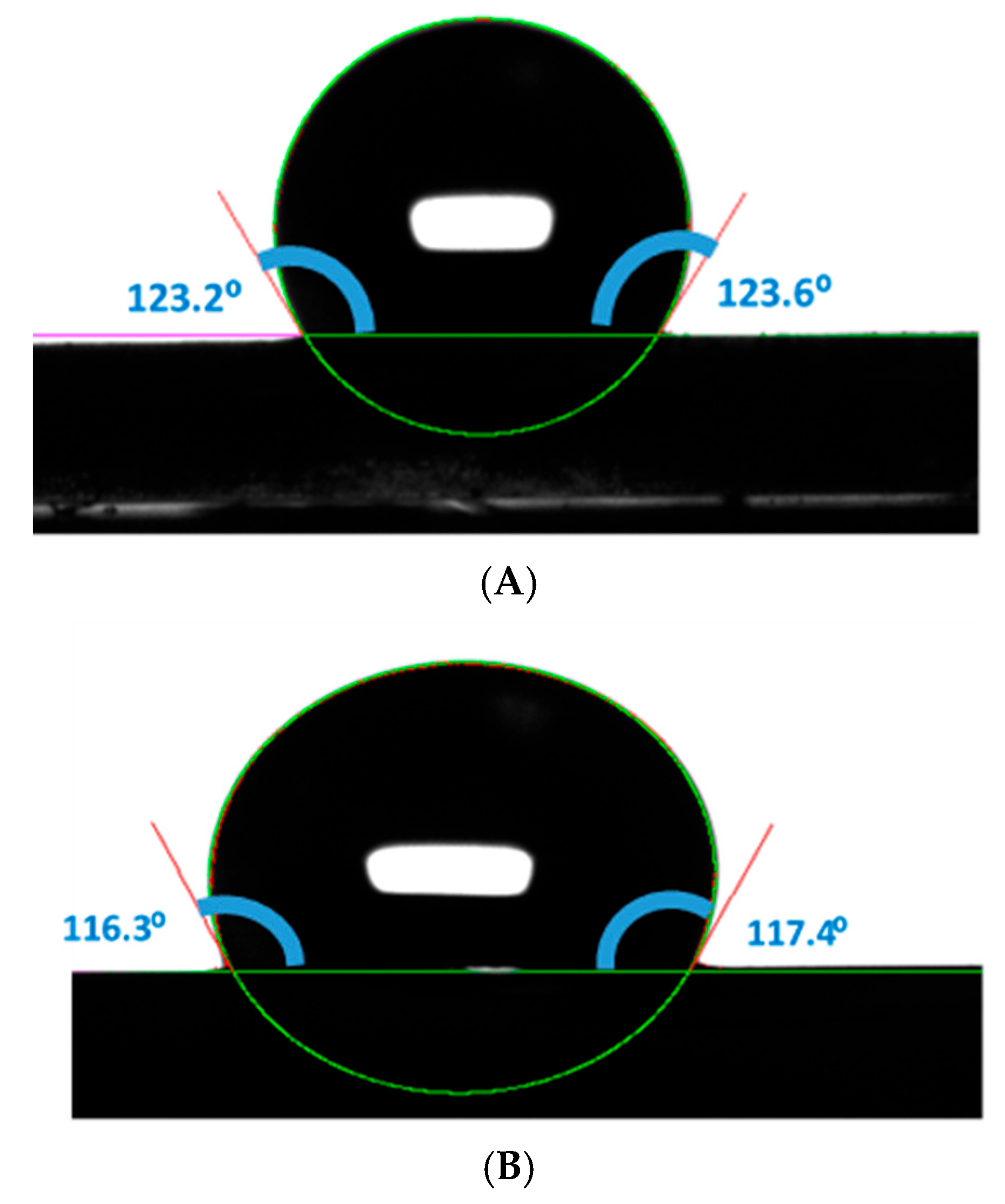 Catalysts 14 00589 g005