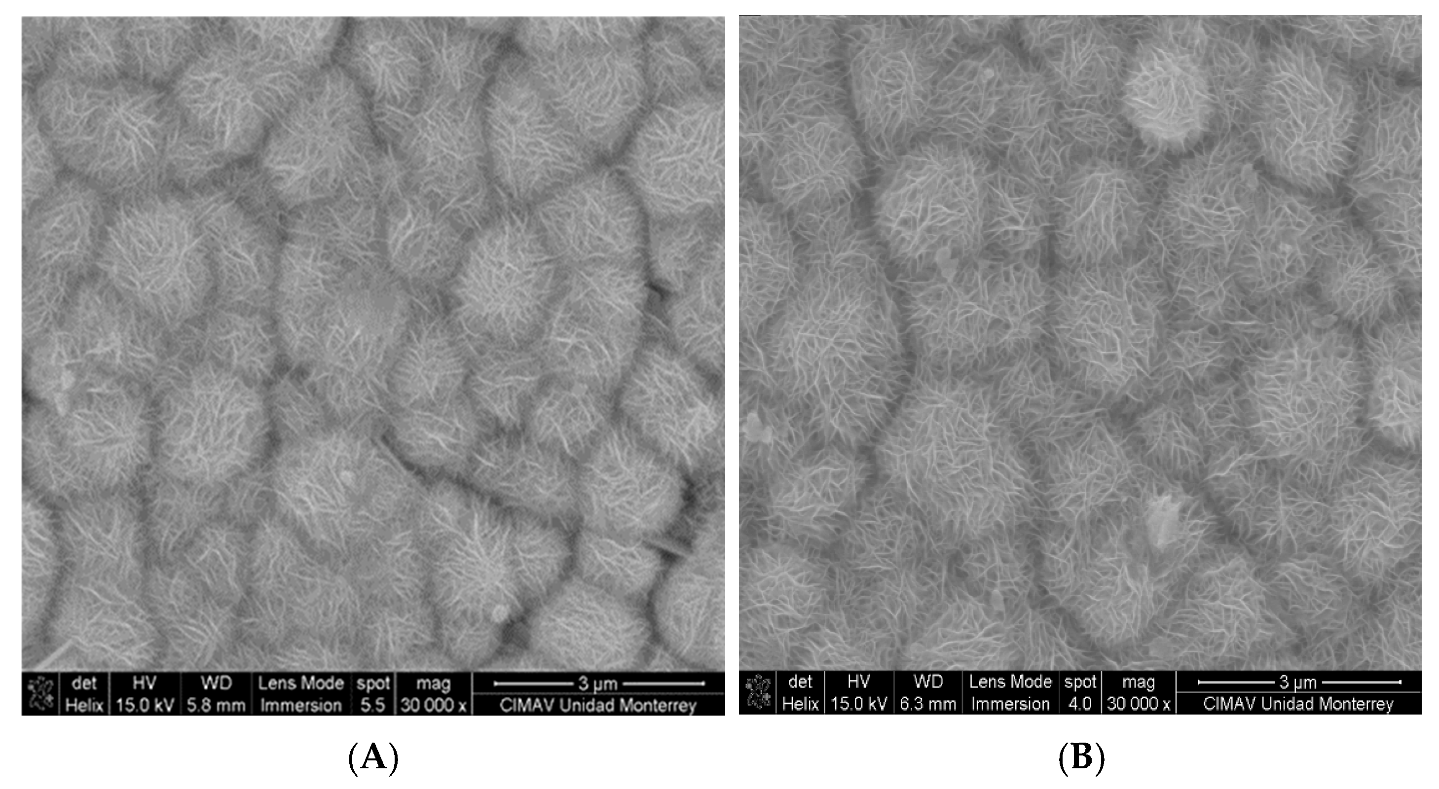 Catalysts 14 00589 g006a