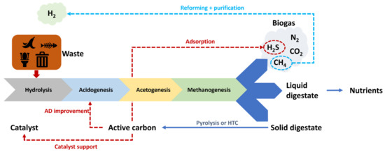 Catalysts 14 00592 g006