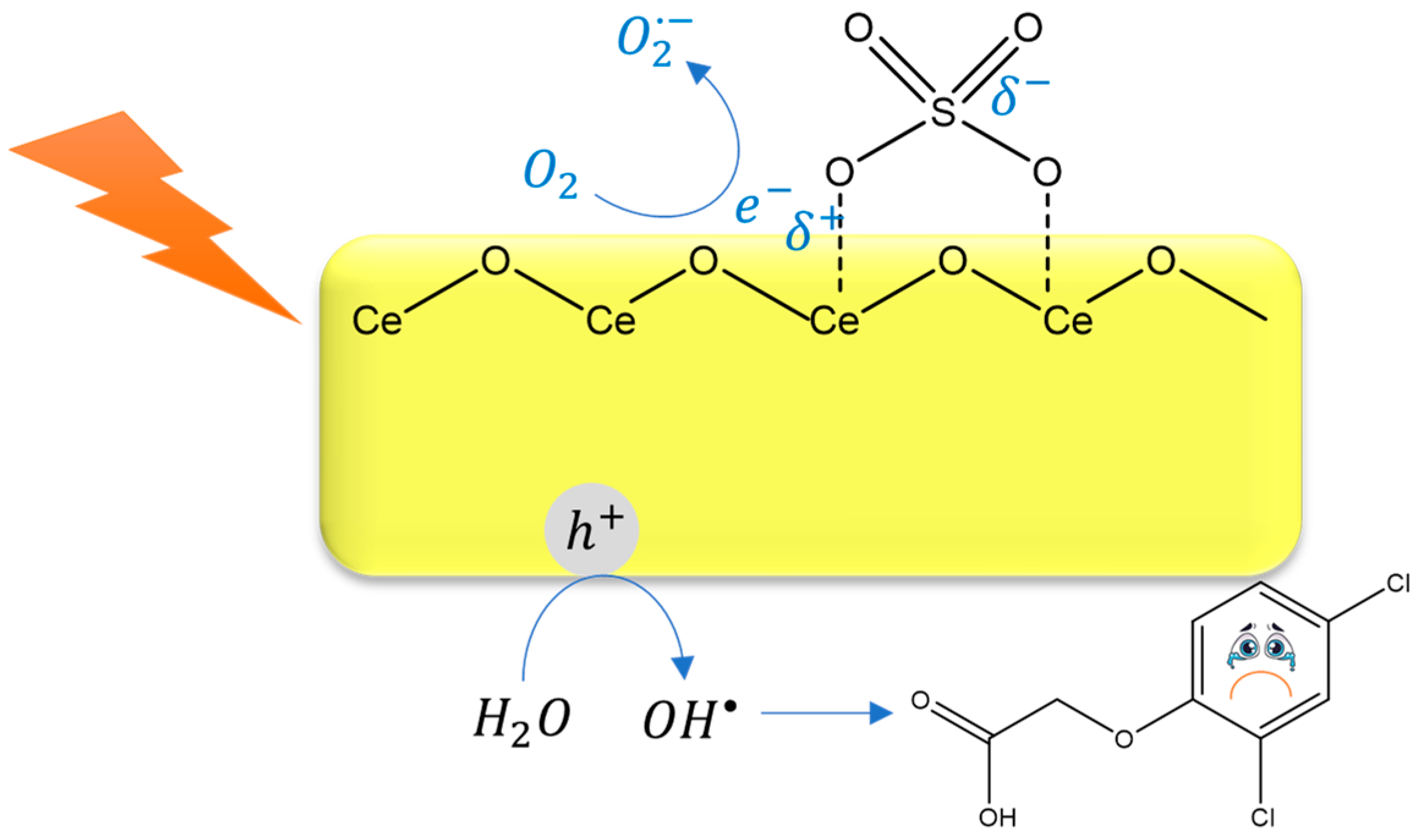 Catalysts 14 00594 g009