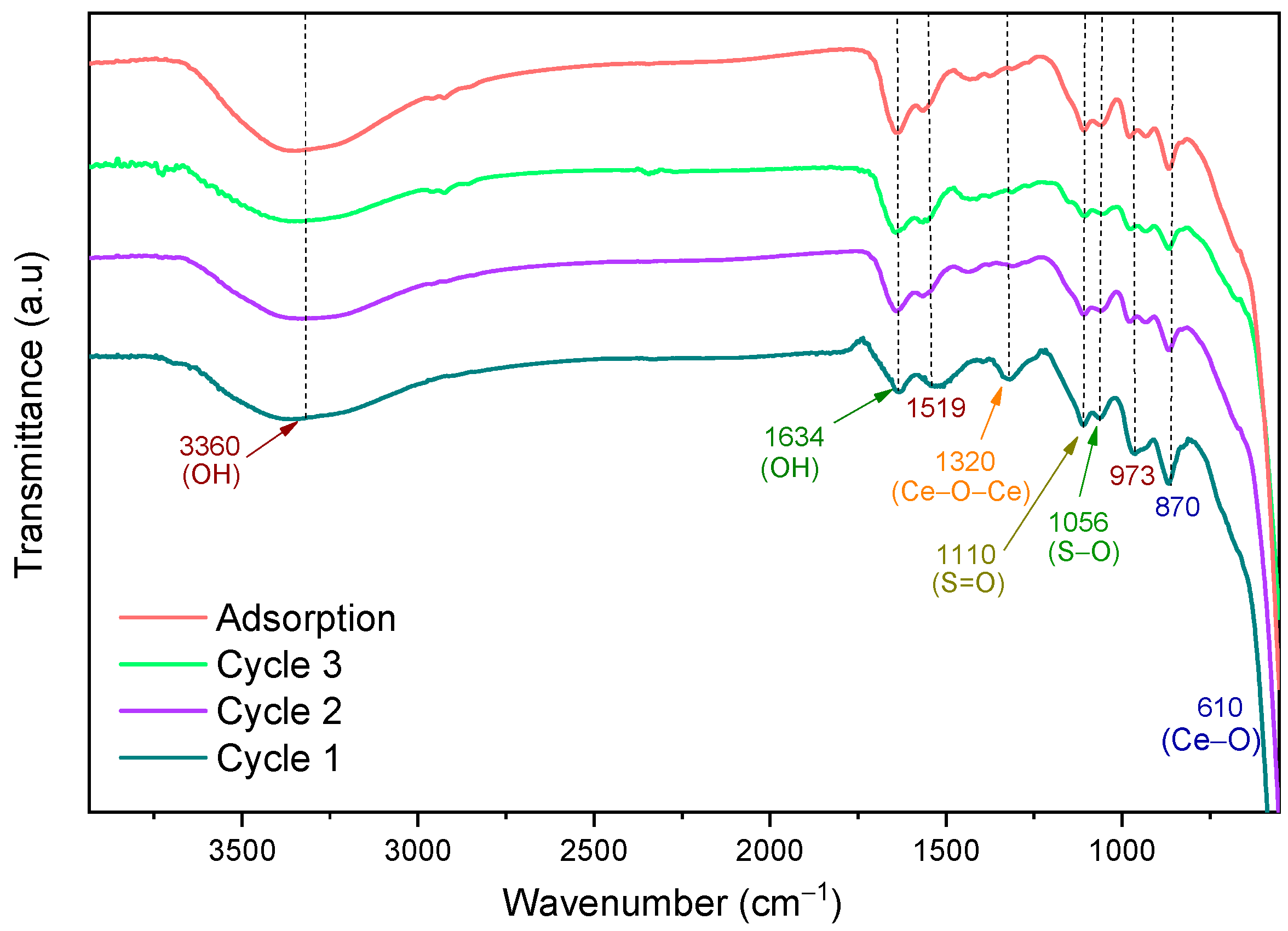 Catalysts 14 00594 g012