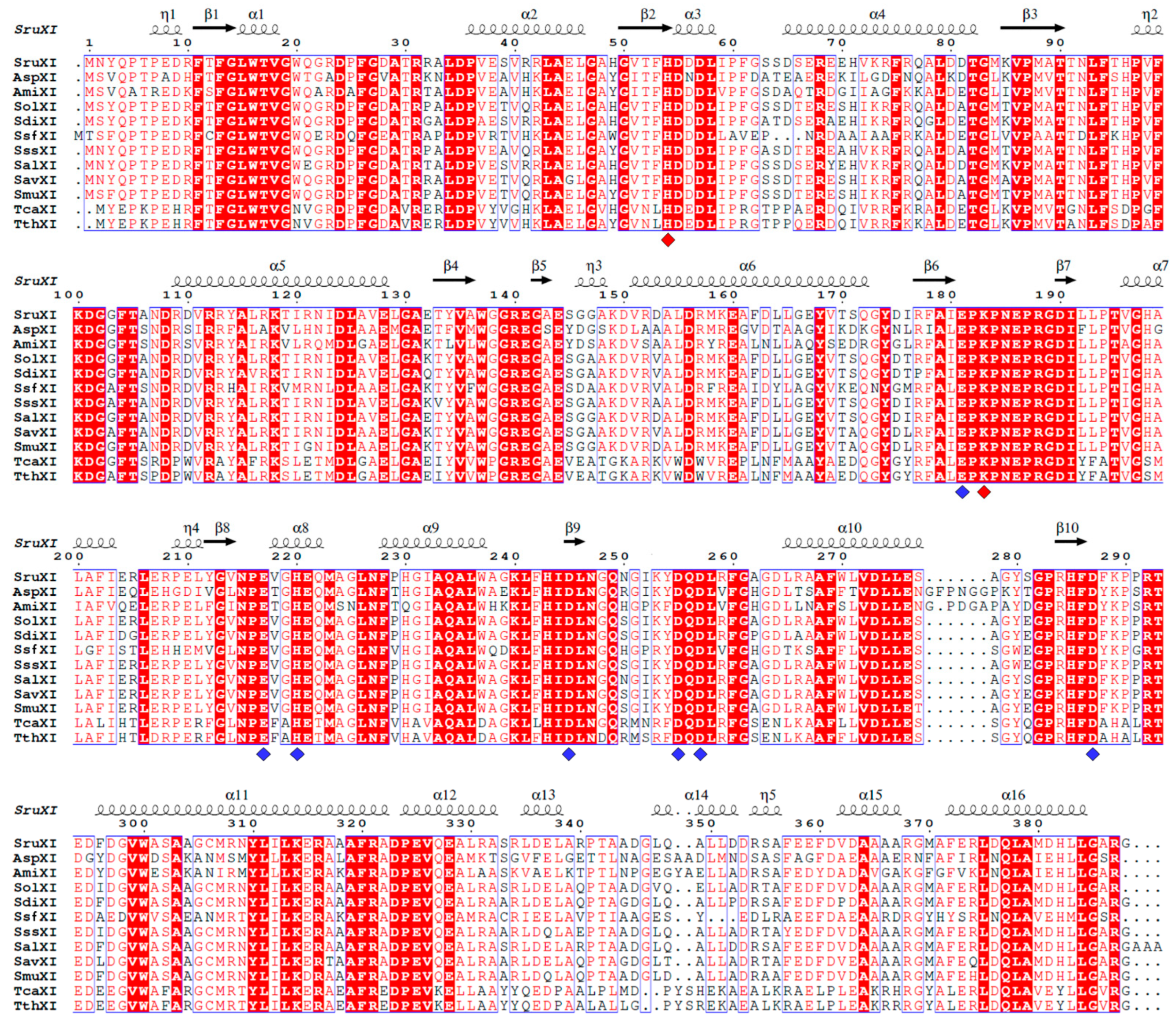 Catalysts 14 00597 g001