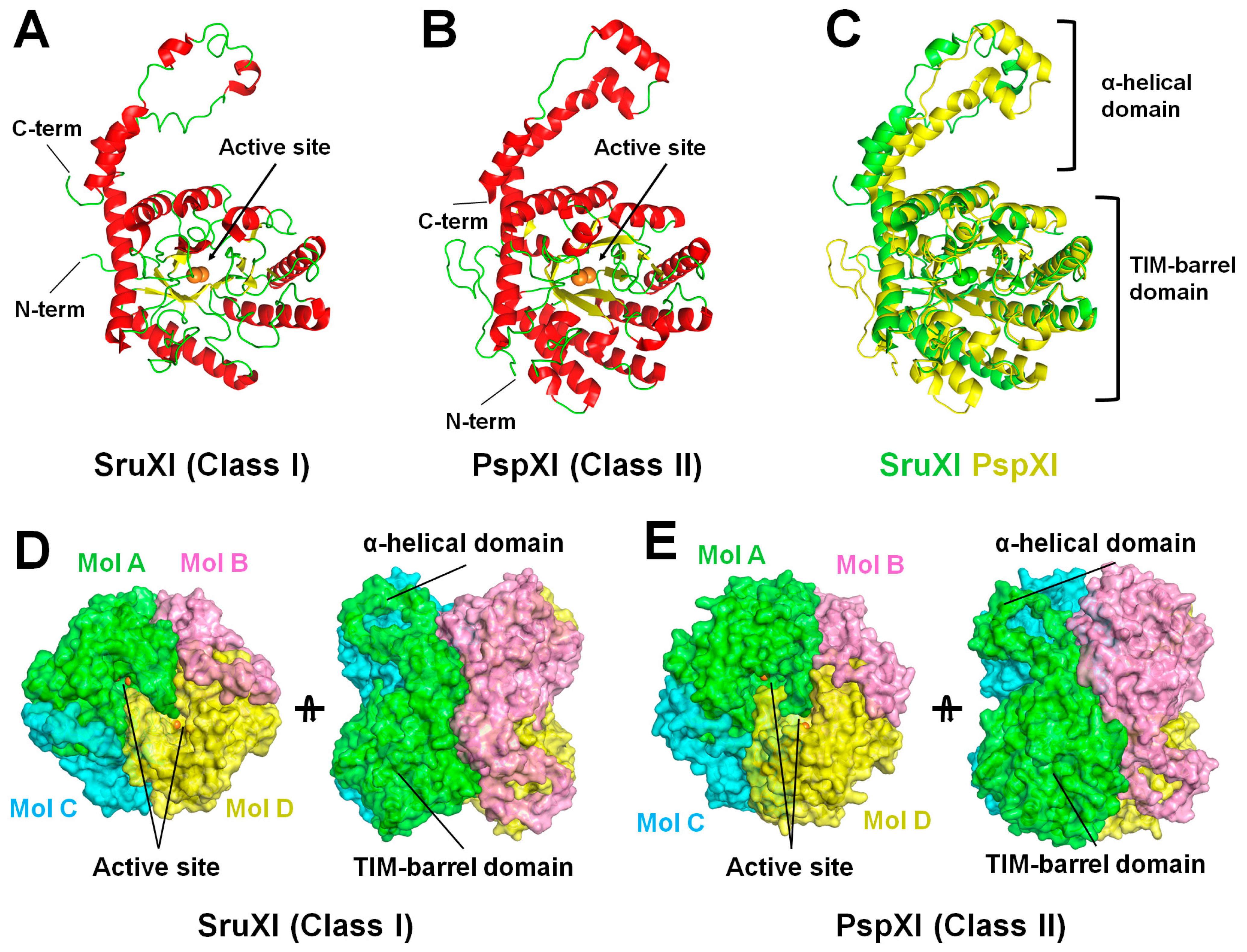 Catalysts 14 00597 g003