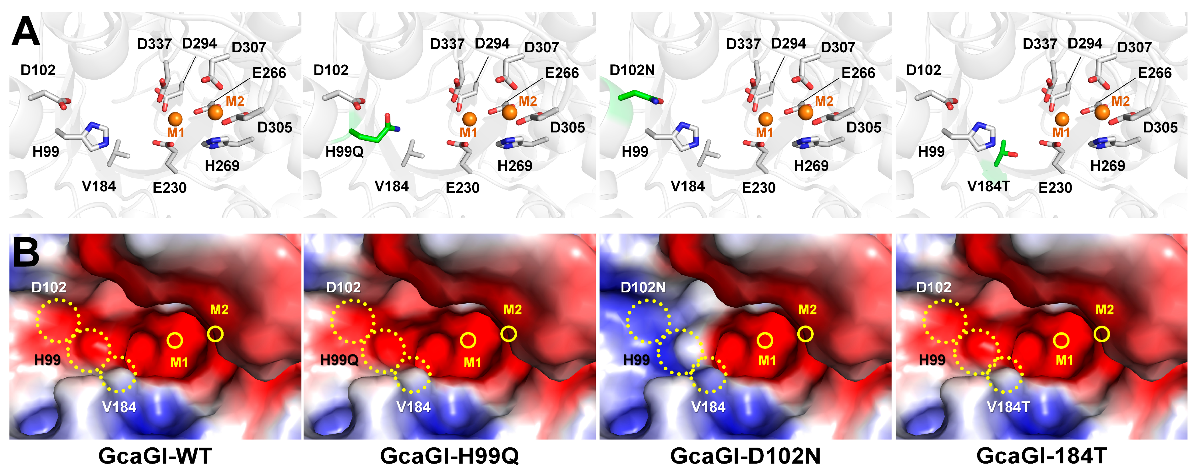 Catalysts 14 00597 g006