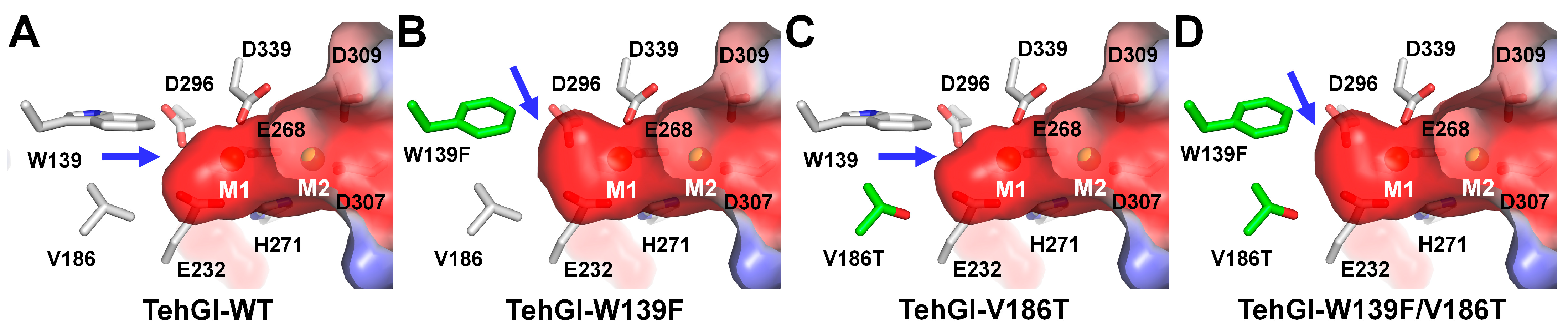 Catalysts 14 00597 g007